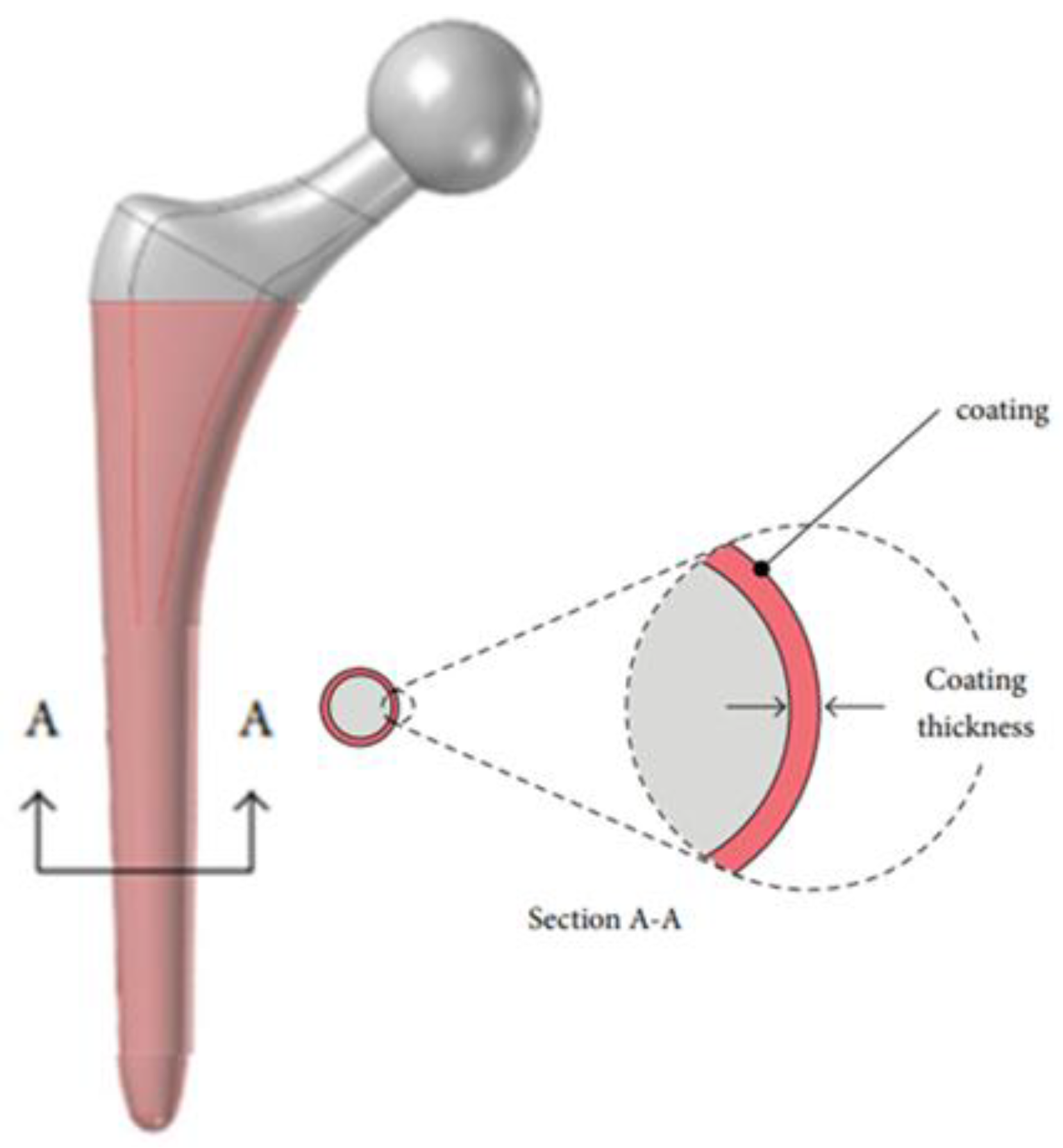 Prosthesis 07 00021 g005