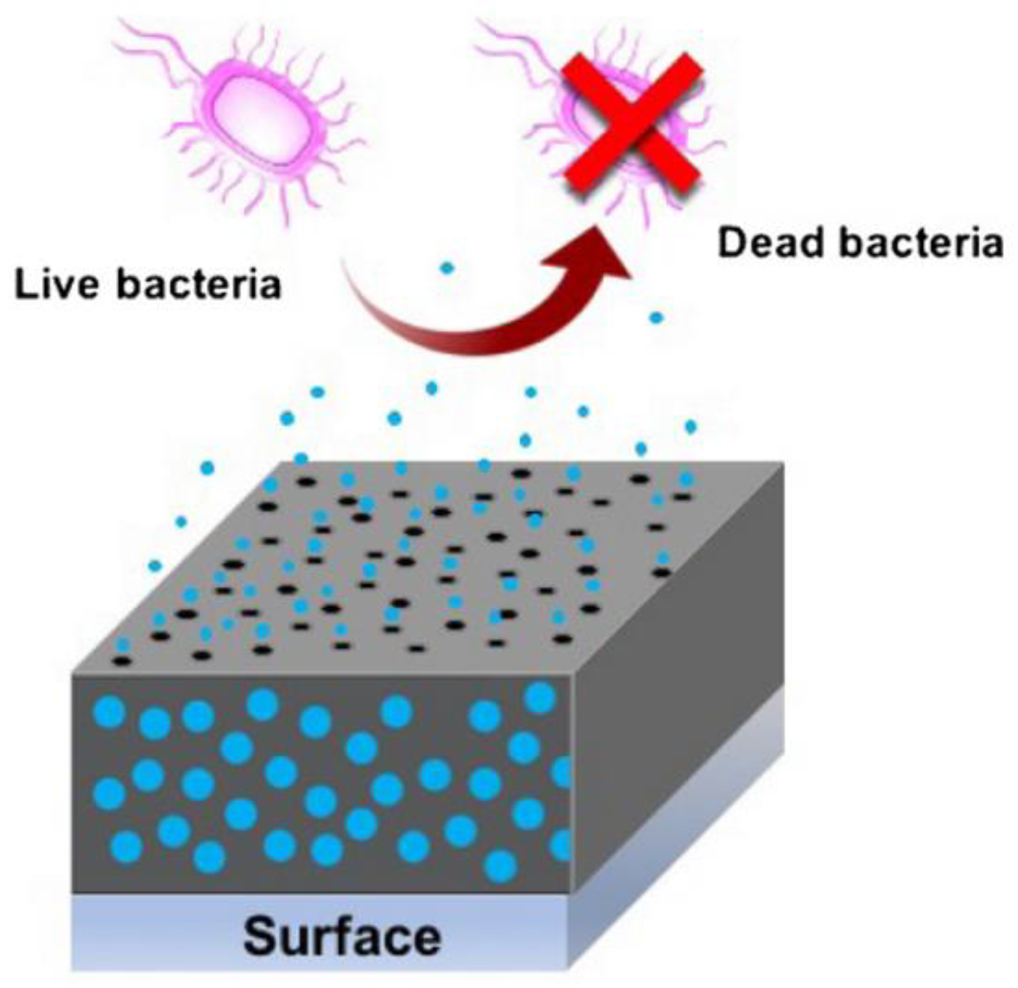 Prosthesis 07 00021 g007