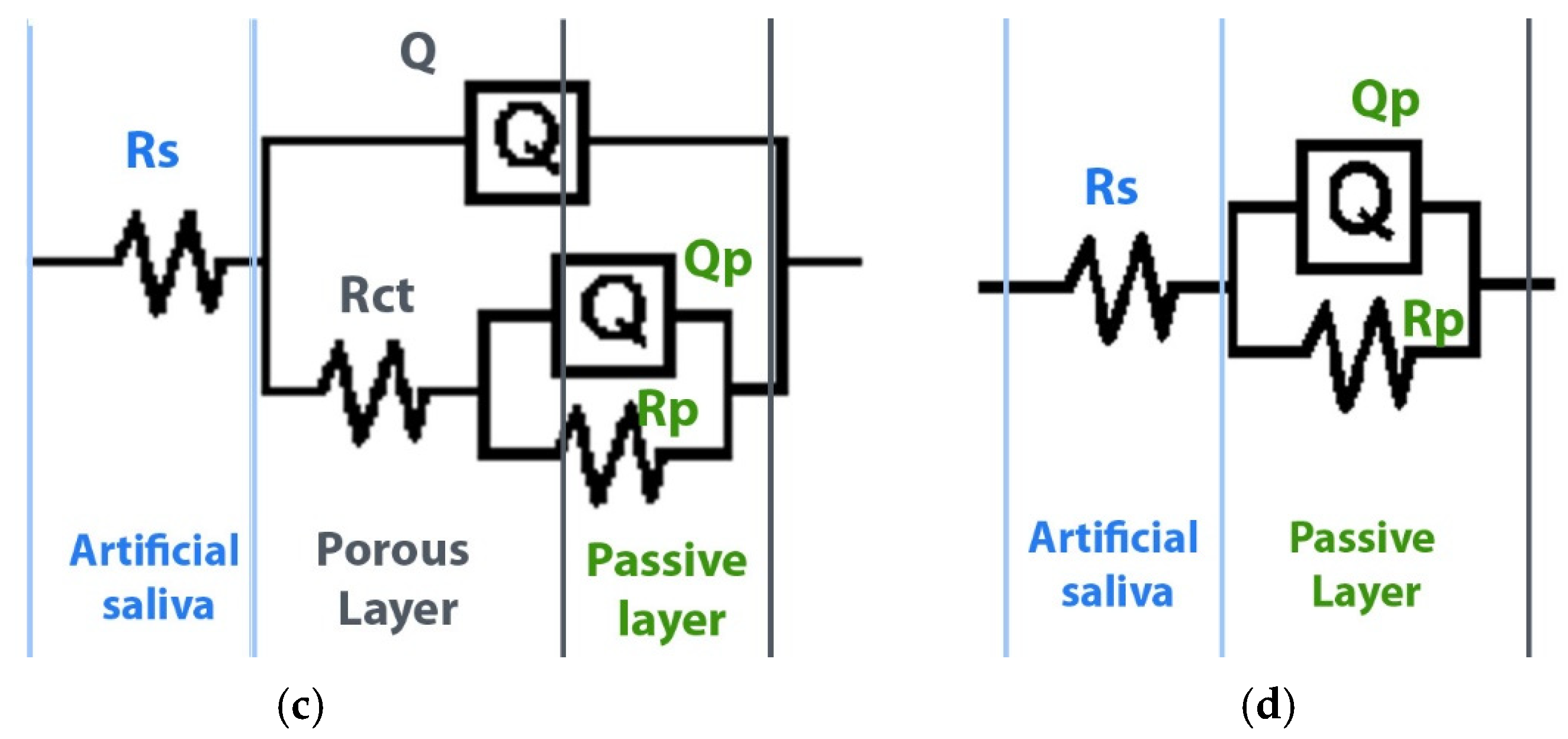 Prosthesis 07 00027 g007b
