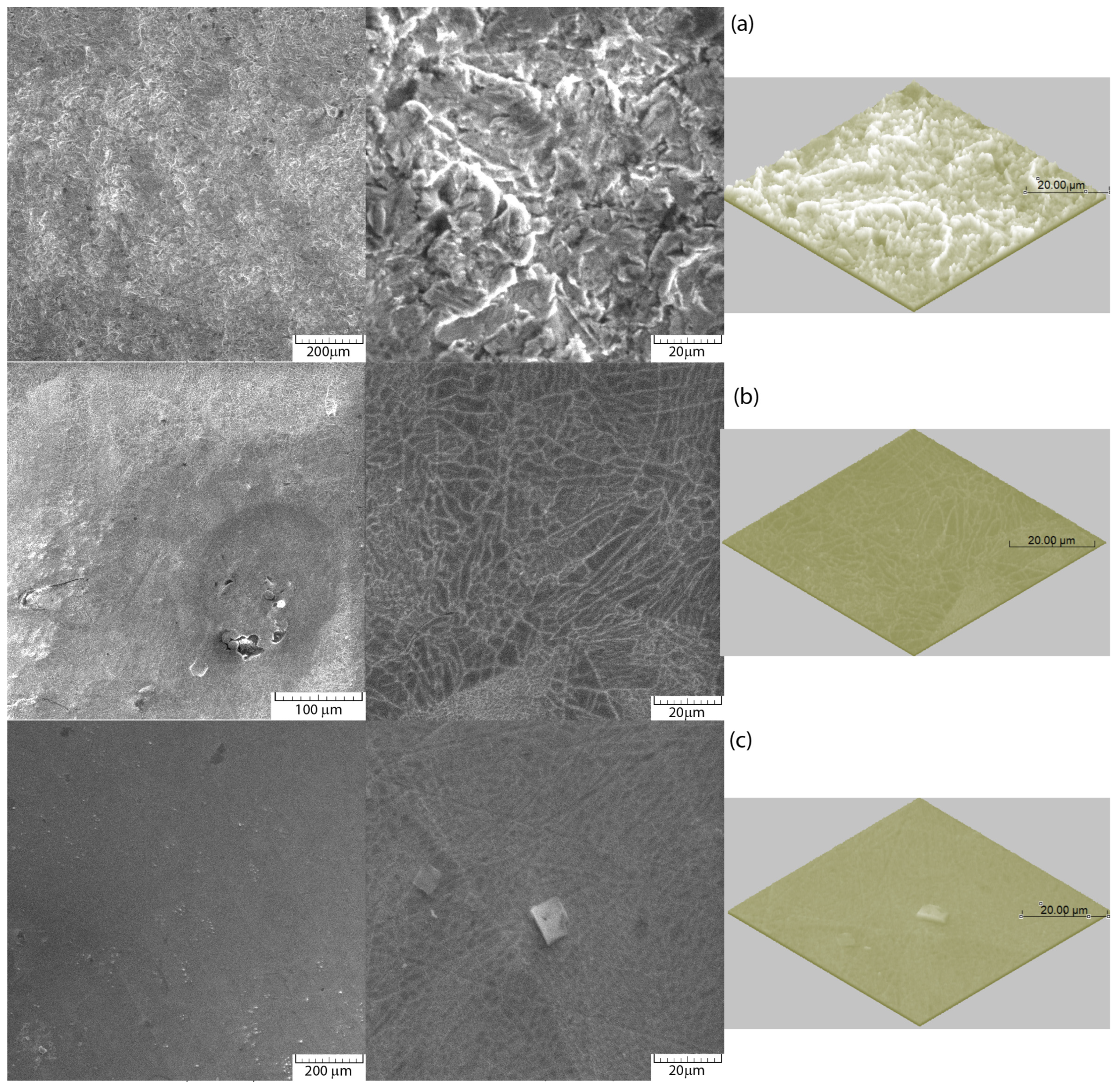 Prosthesis 07 00027 g008