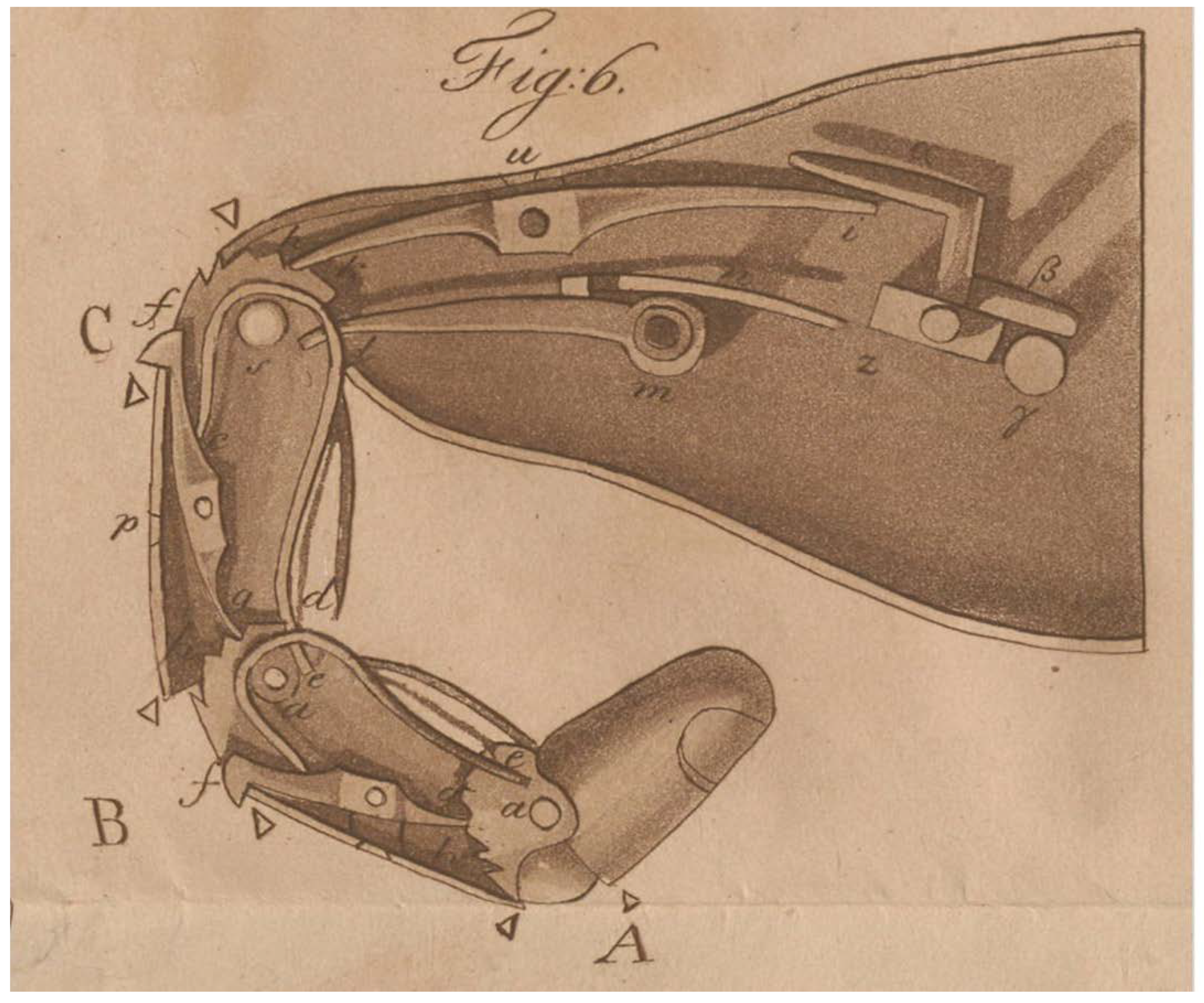 Prosthesis 07 00028 g003