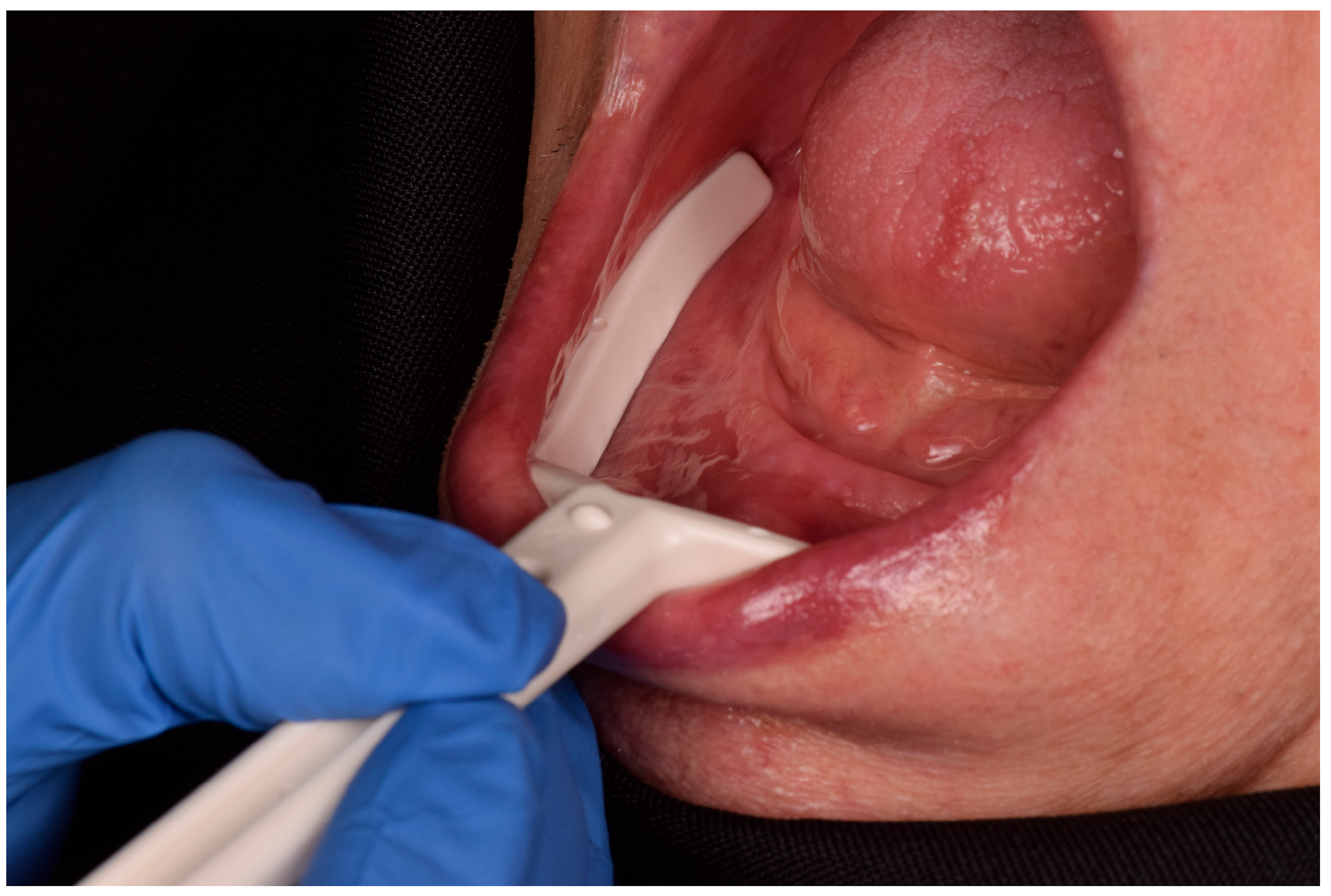 Prosthesis 07 00029 g002