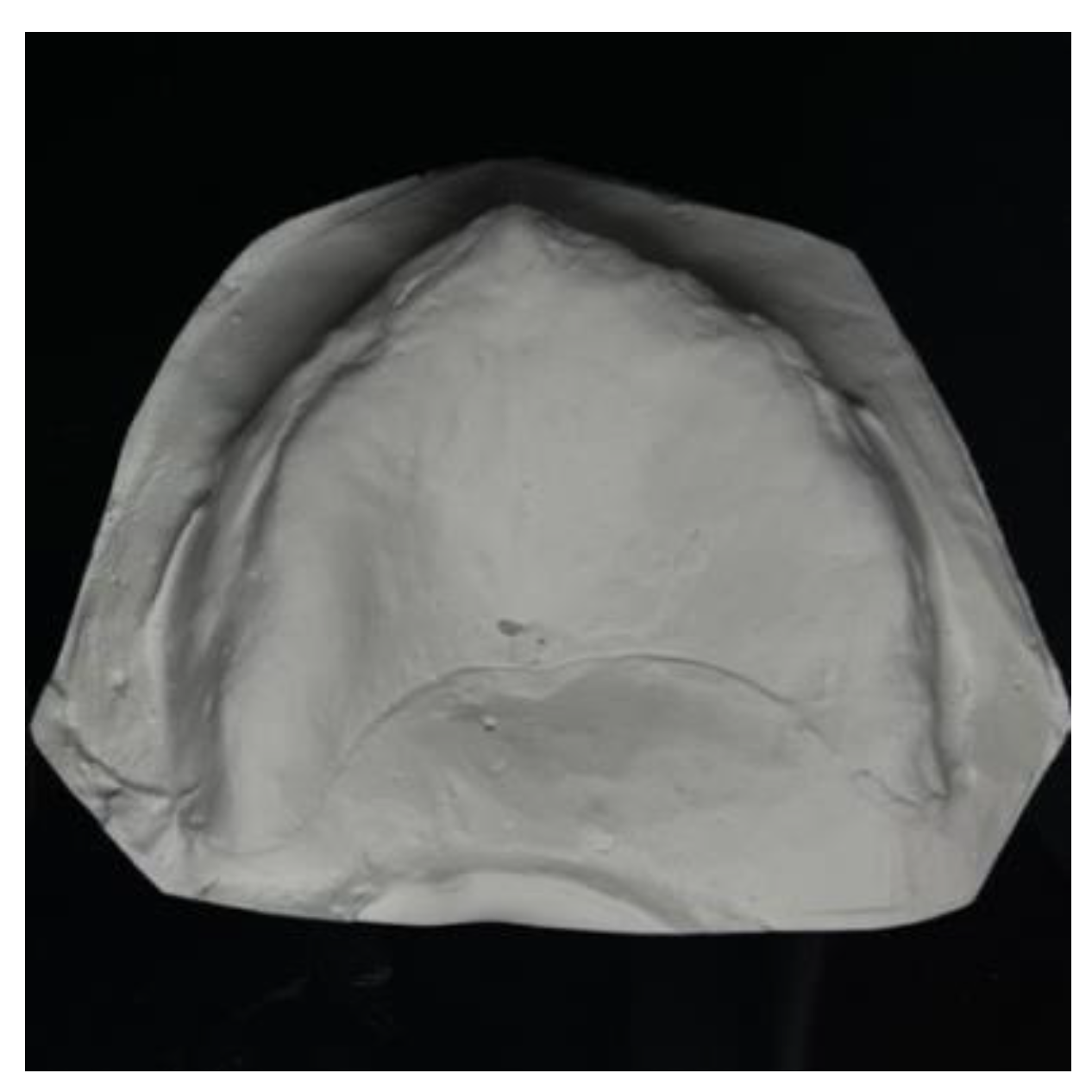 Prosthesis 07 00042 g001