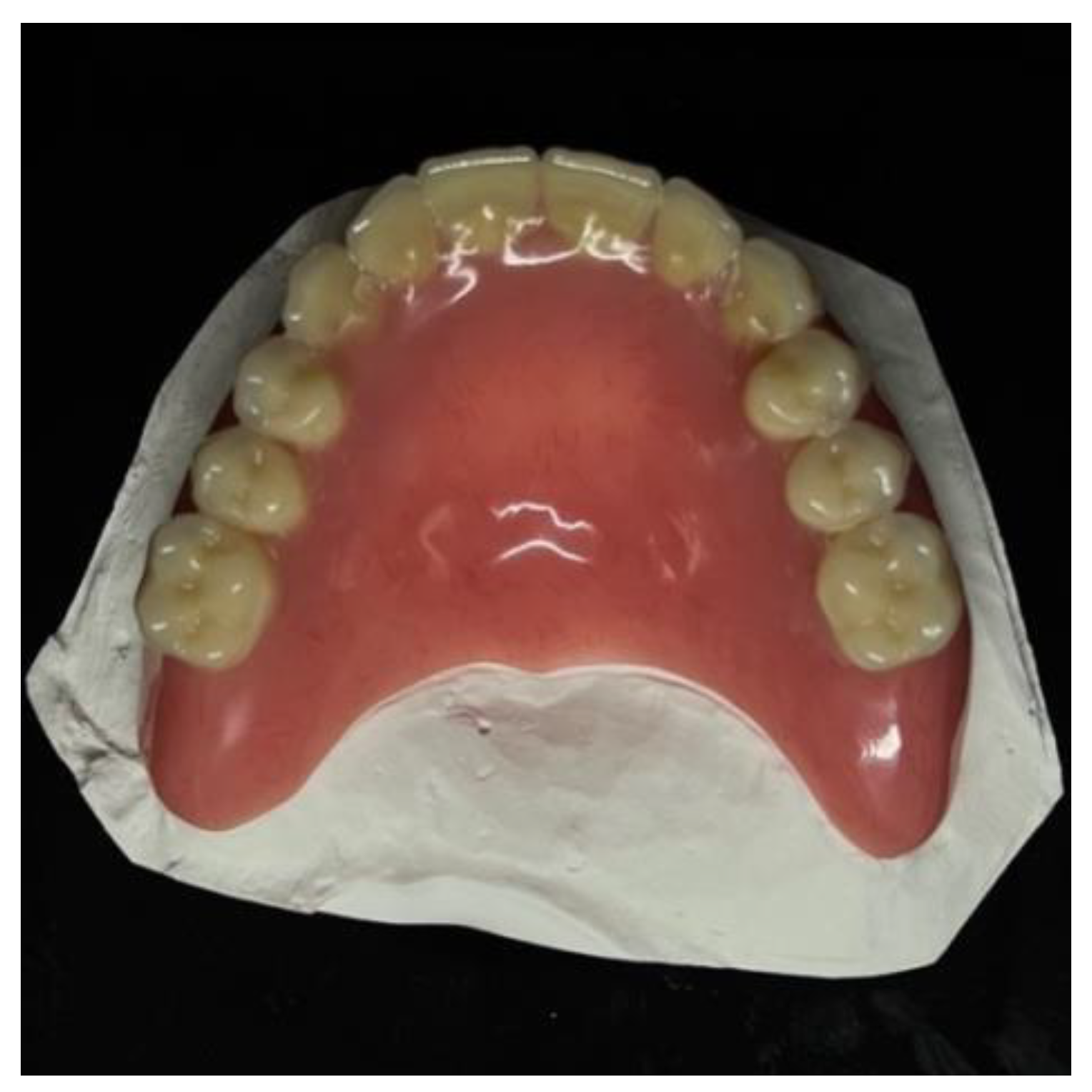 Prosthesis 07 00042 g002