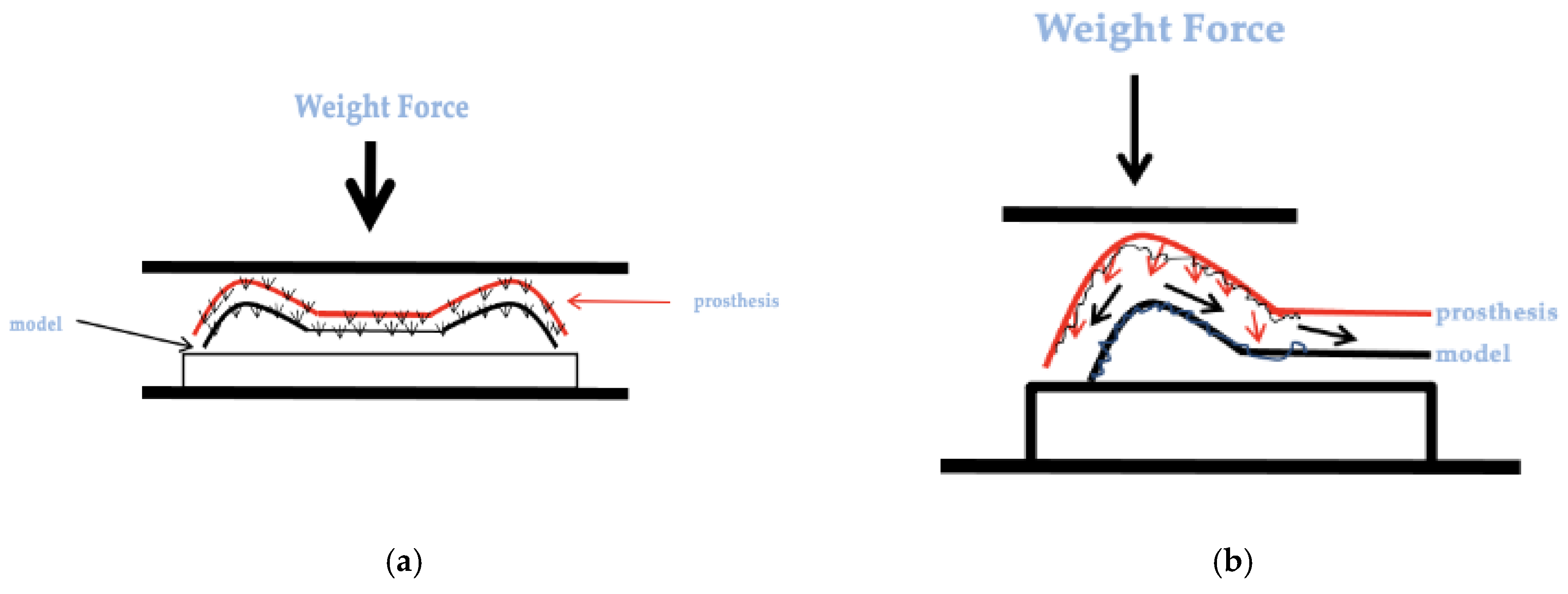 Prosthesis 07 00042 g011