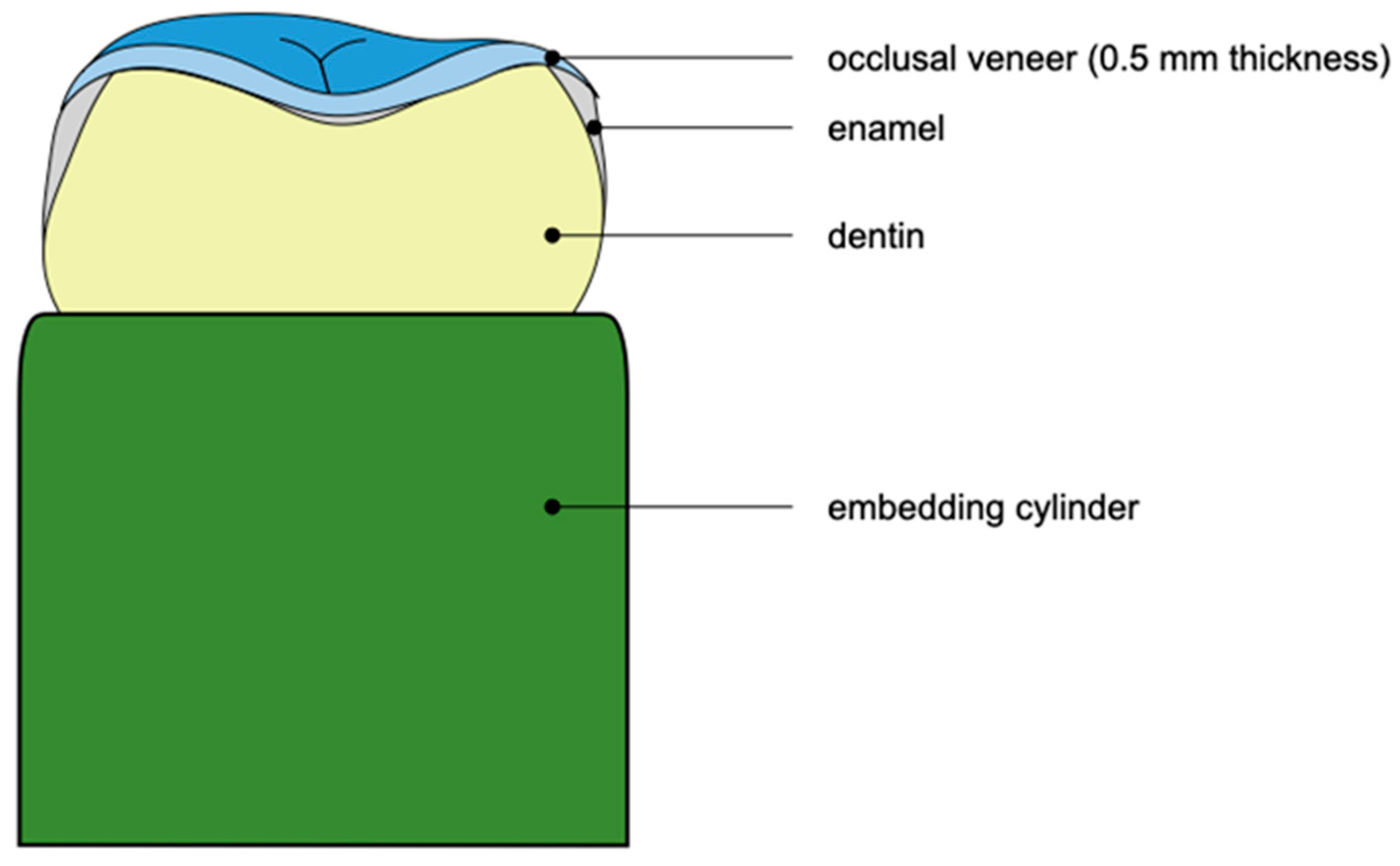 Prosthesis 07 00043 g001
