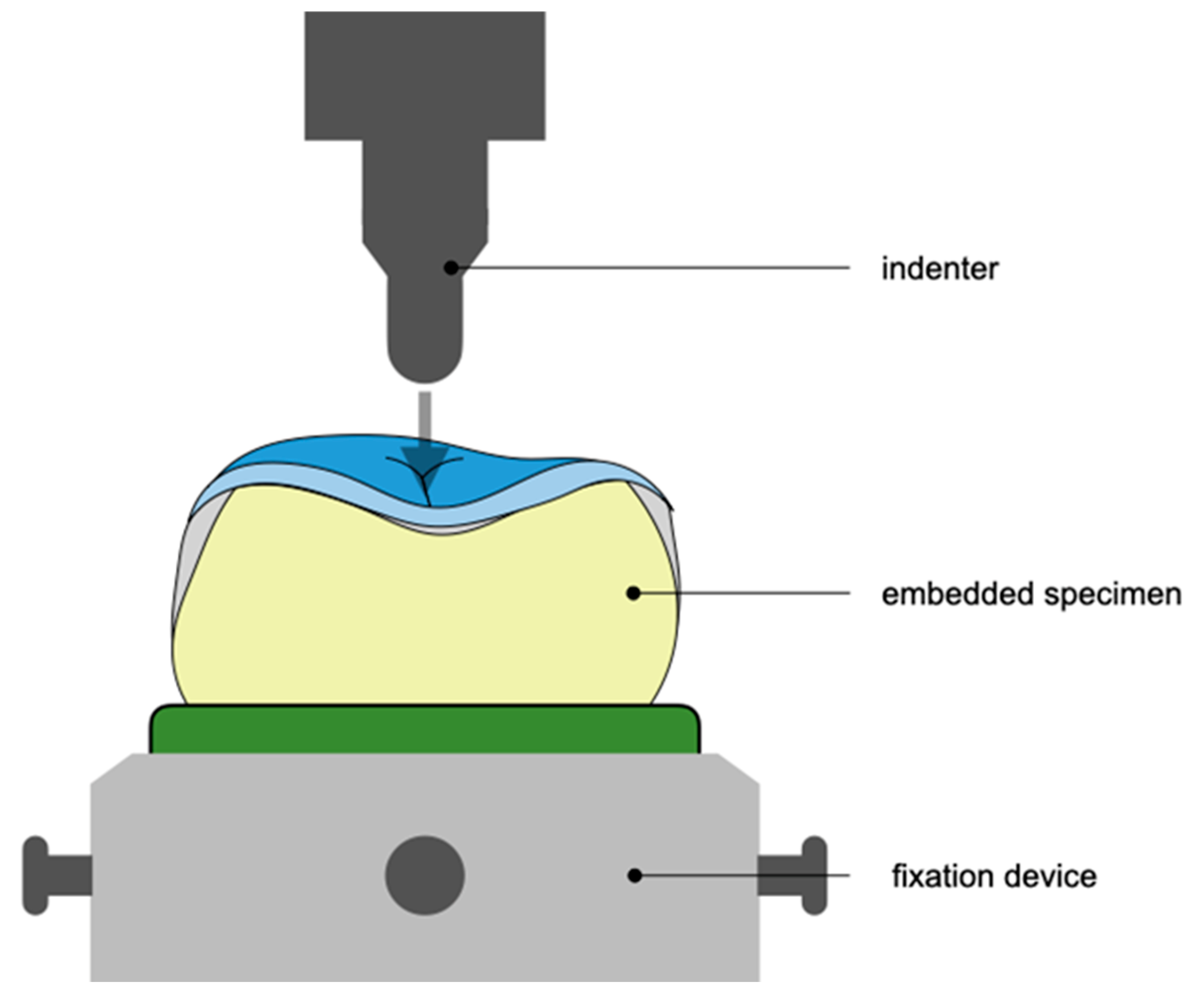 Prosthesis 07 00043 g002