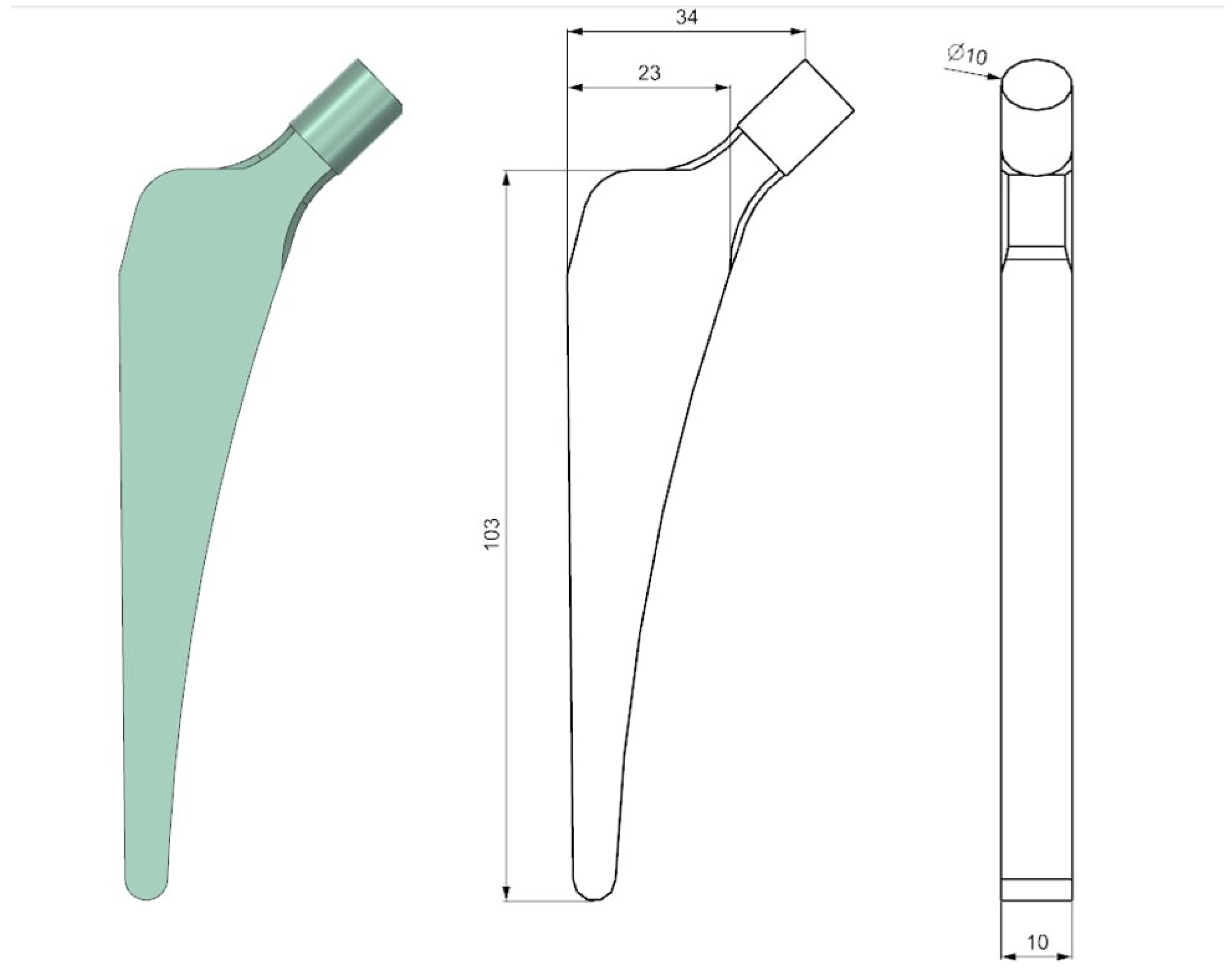 Prosthesis 07 00044 g001