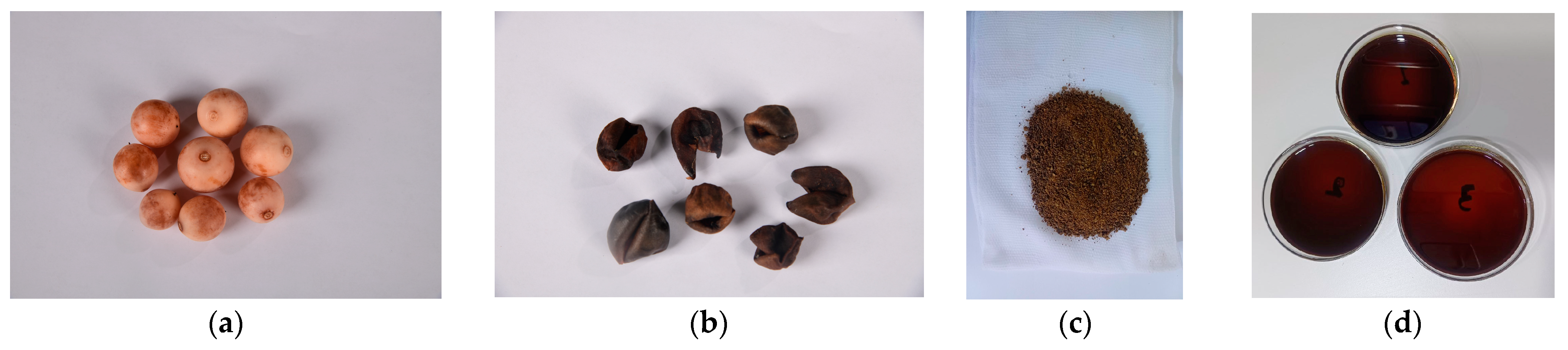 Prosthesis 07 00048 g001