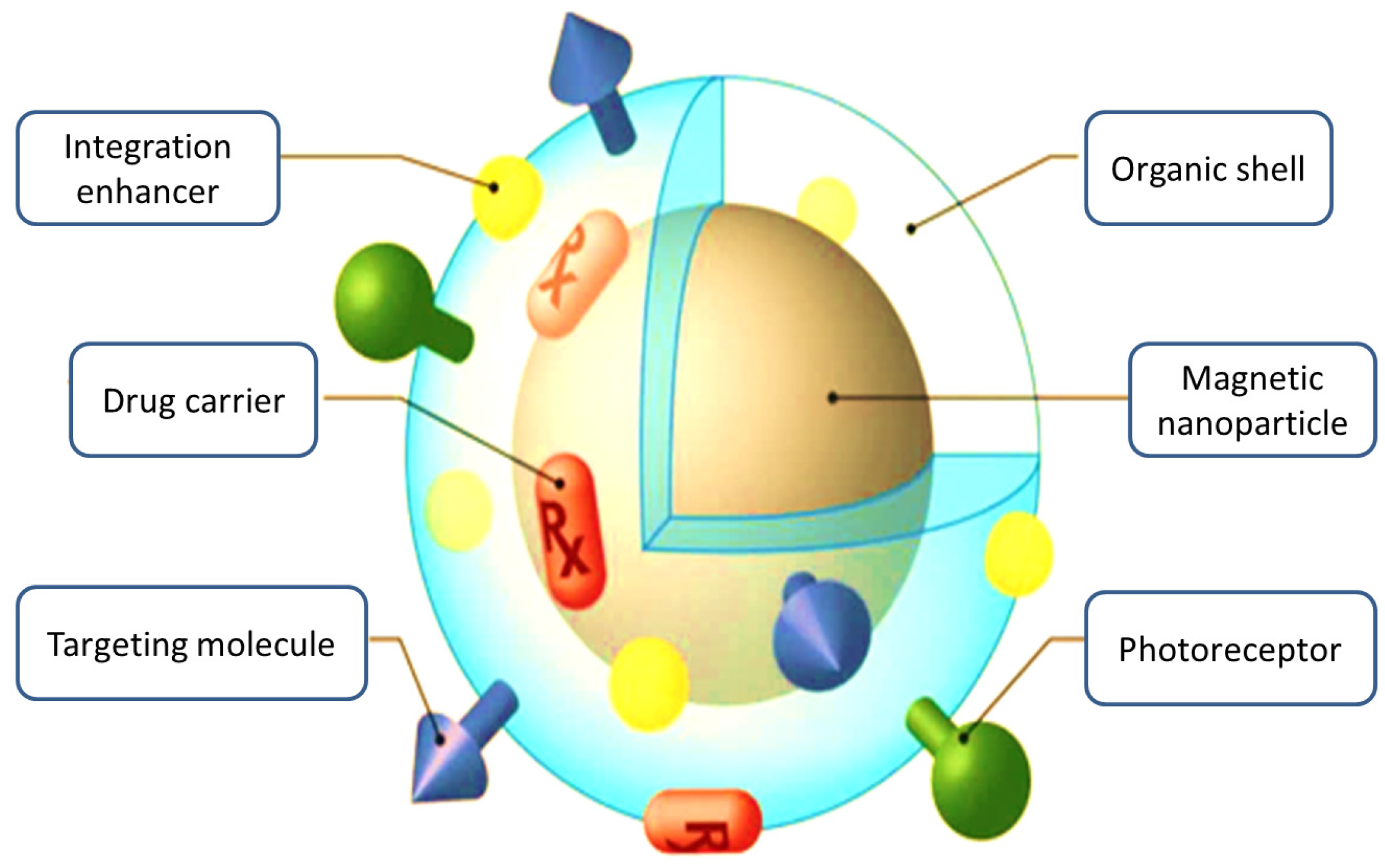 Prosthesis 07 00051 g004