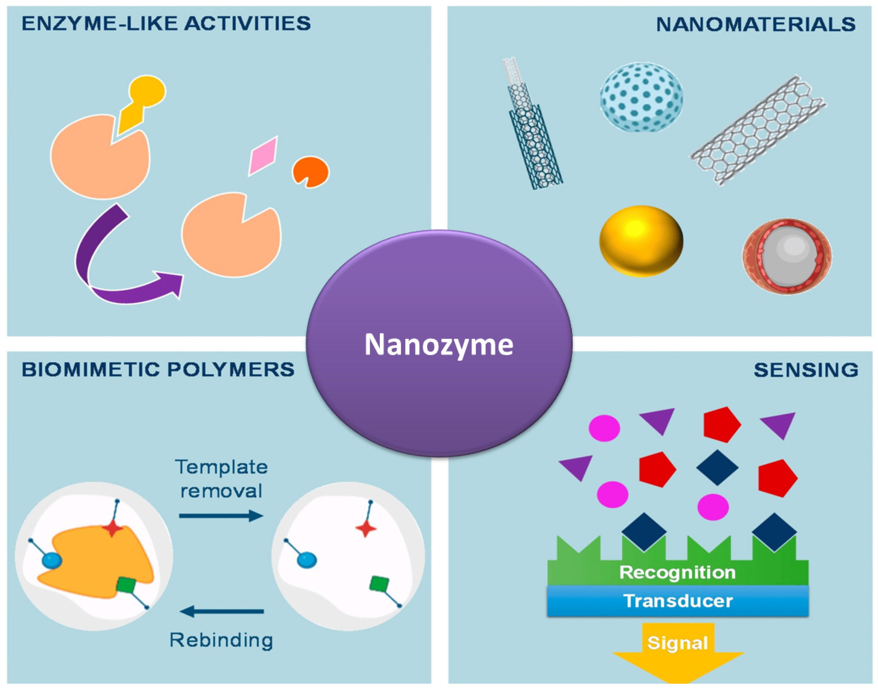 Prosthesis 07 00051 g005