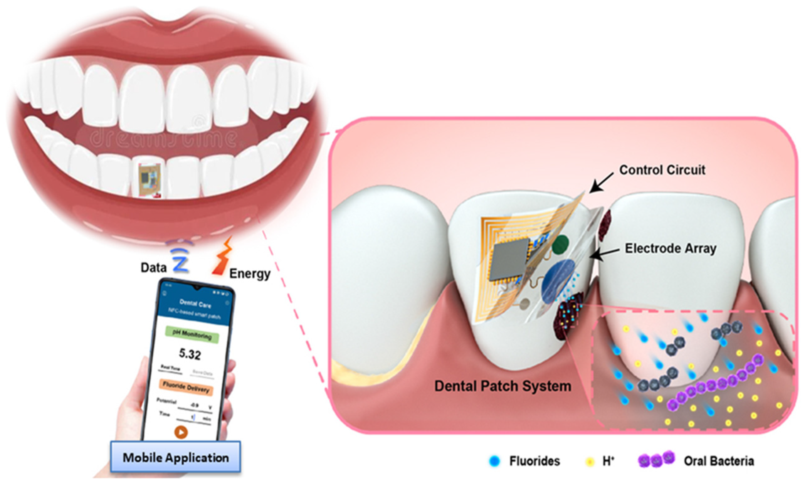 Prosthesis 07 00051 g006