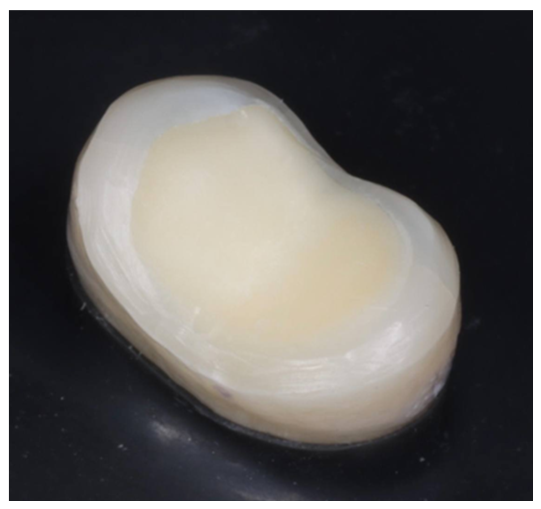 Prosthesis 07 00055 g001