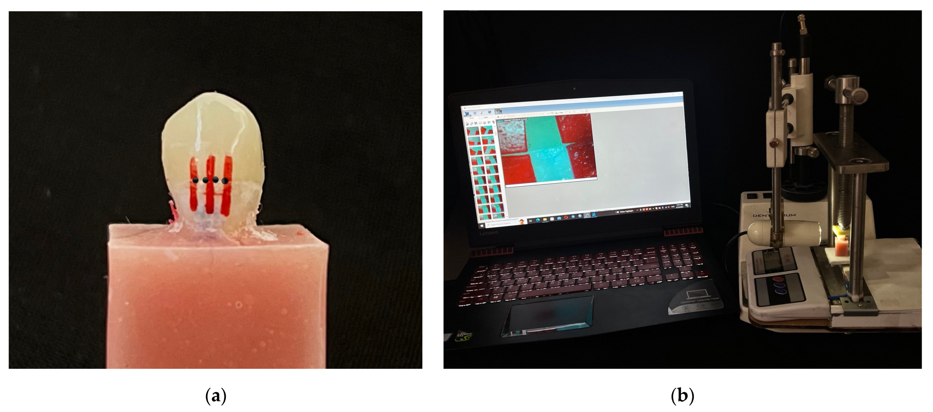 Prosthesis 07 00055 g003