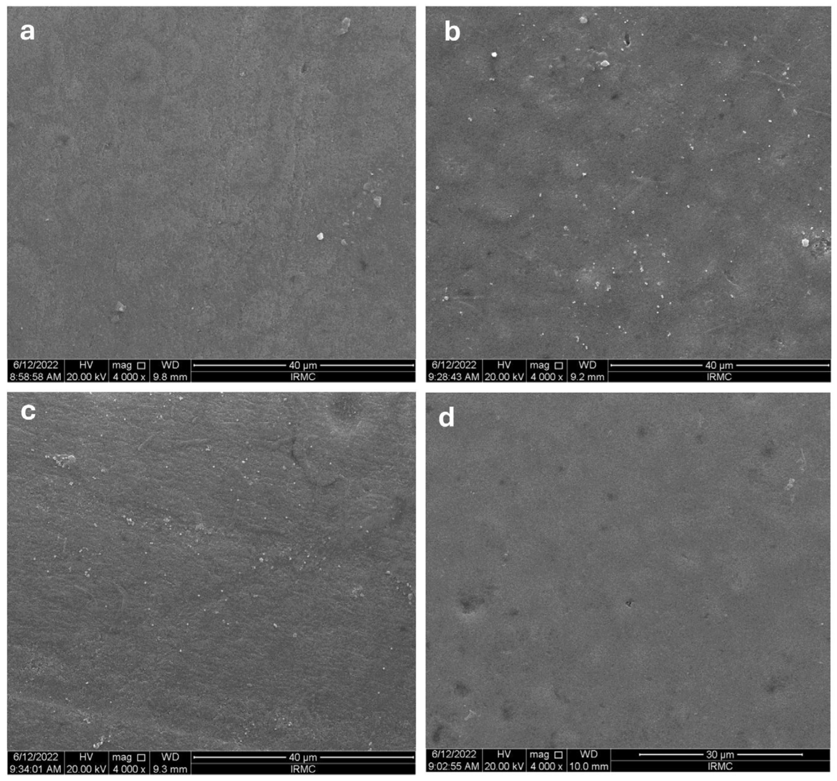 Prosthesis 07 00057 g004 Prosthesis 07 00057 g004