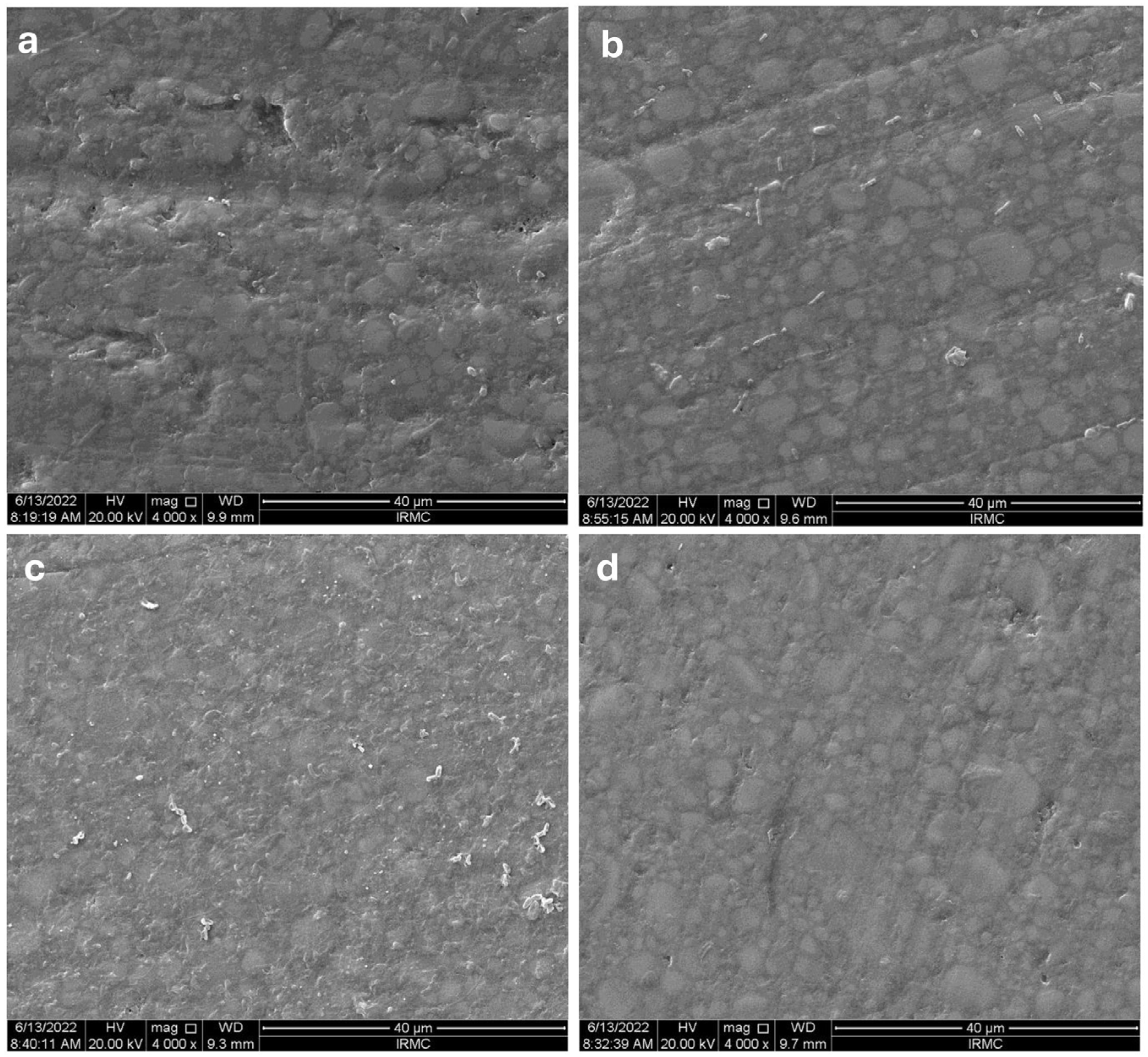 Prosthesis 07 00057 g006 Prosthesis 07 00057 g006