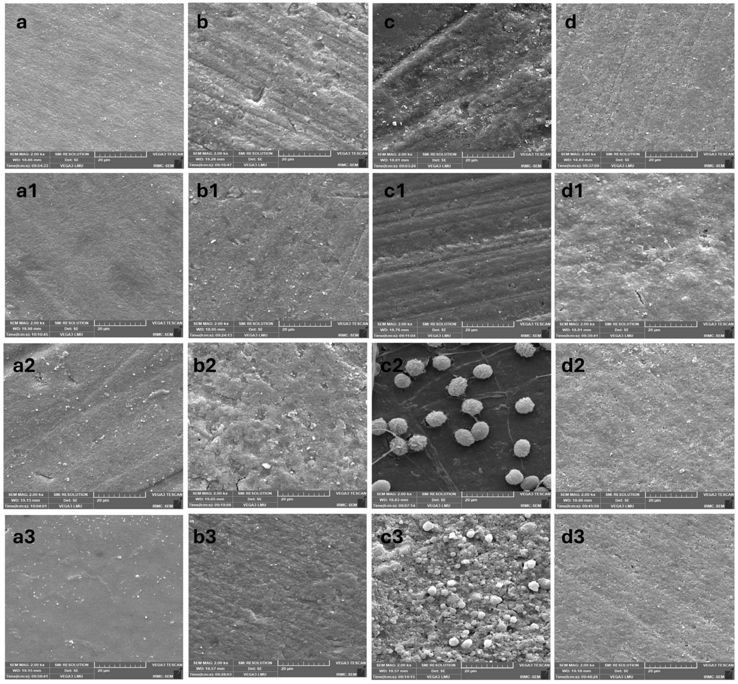 Prosthesis 07 00057 g008 Prosthesis 07 00057 g008