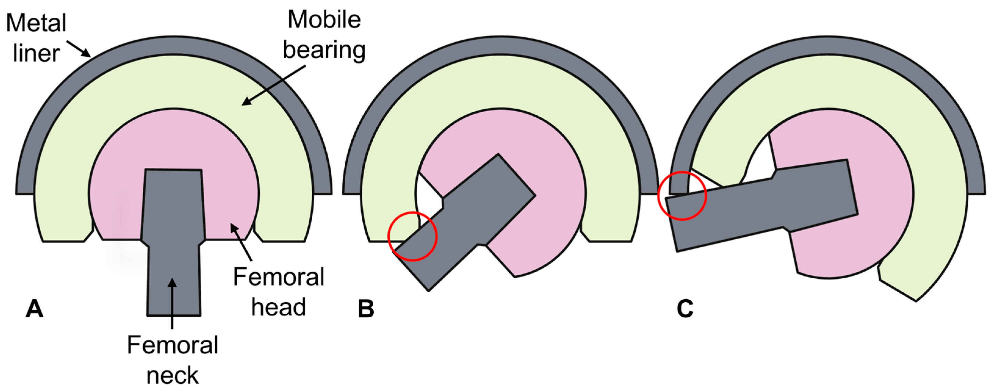 Prosthesis 07 00059 g003