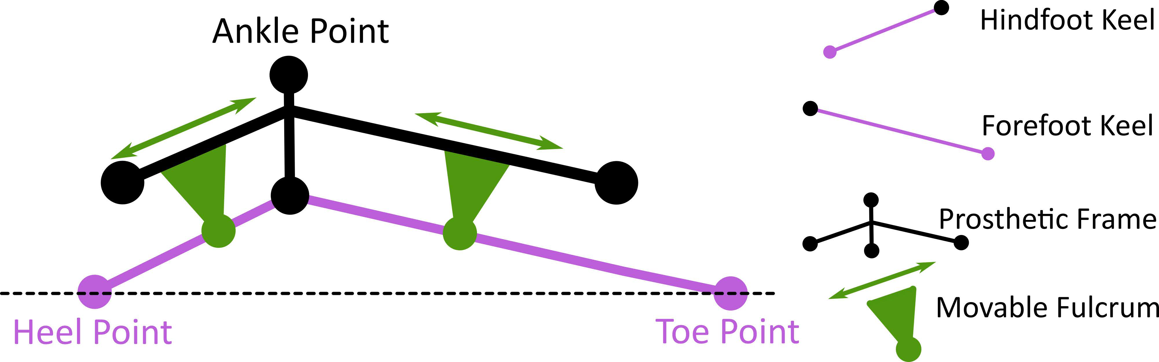 Prosthesis 07 00061 g002