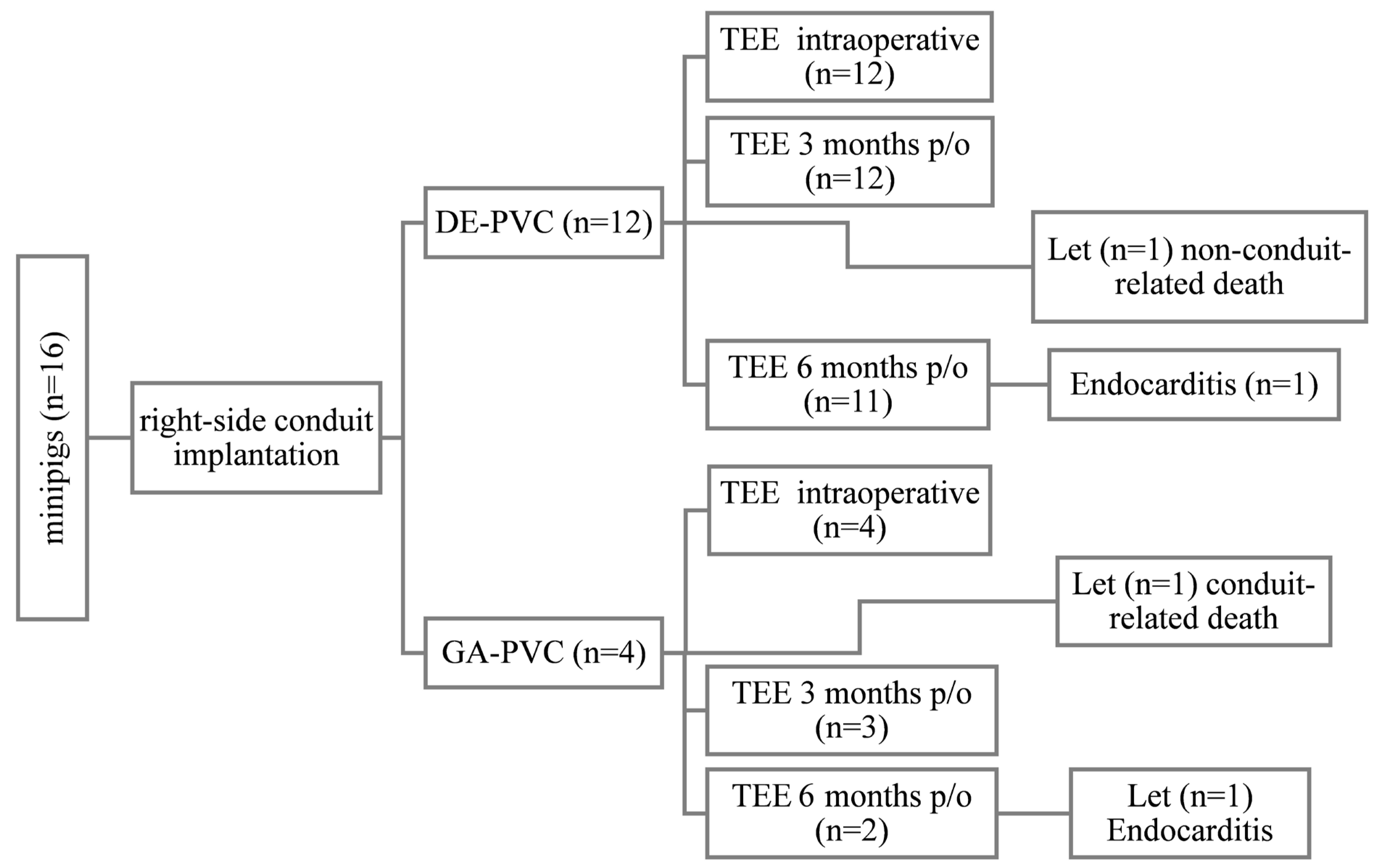 Prosthesis 07 00067 g001