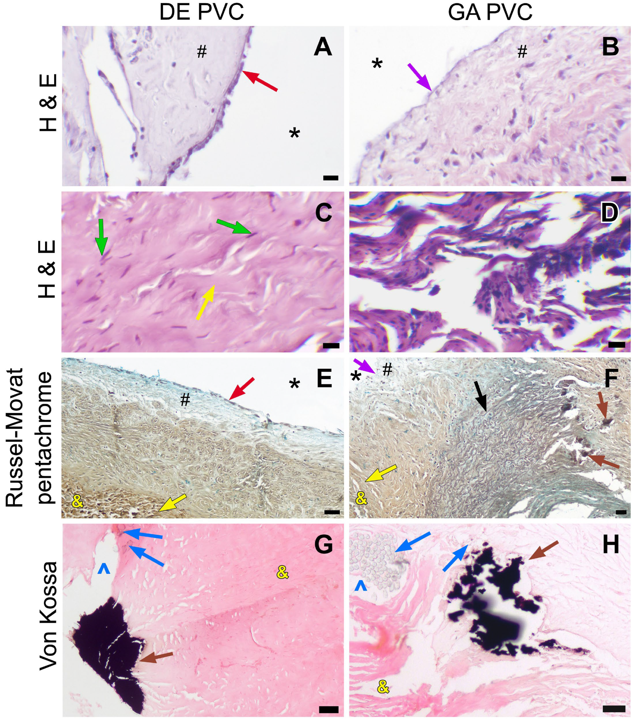 Prosthesis 07 00067 g007
