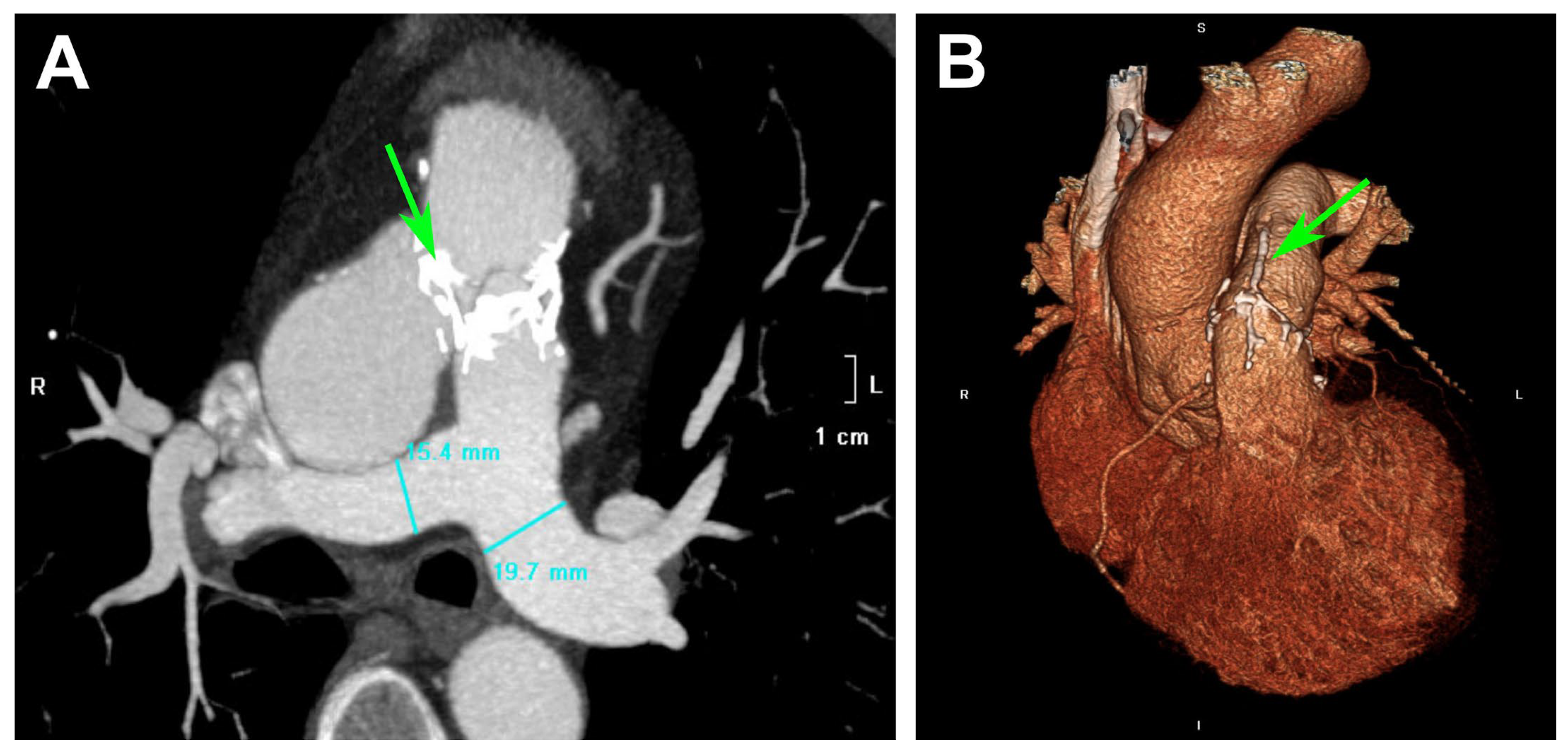 Prosthesis 07 00067 g011