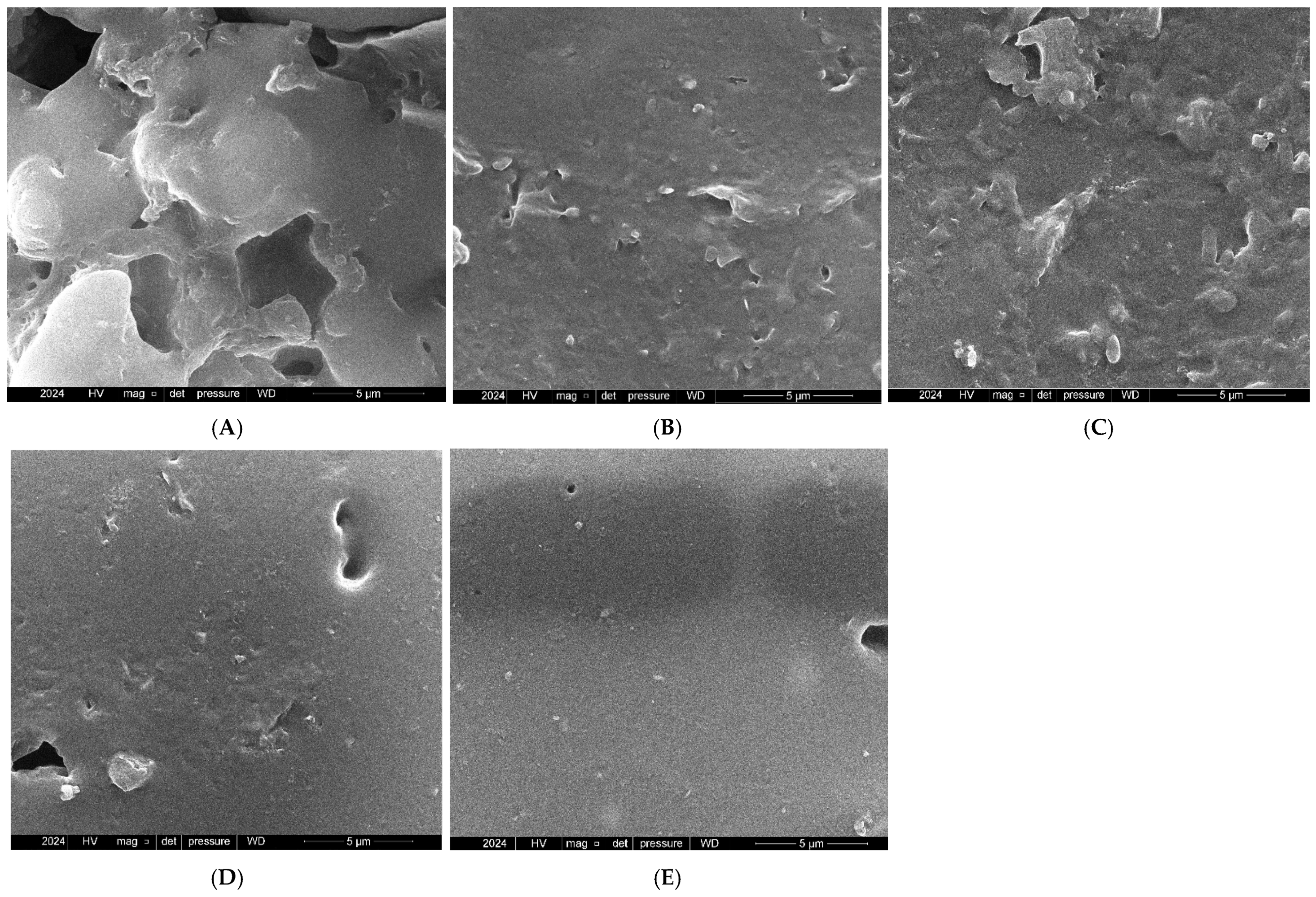 Prosthesis 07 00069 g004
