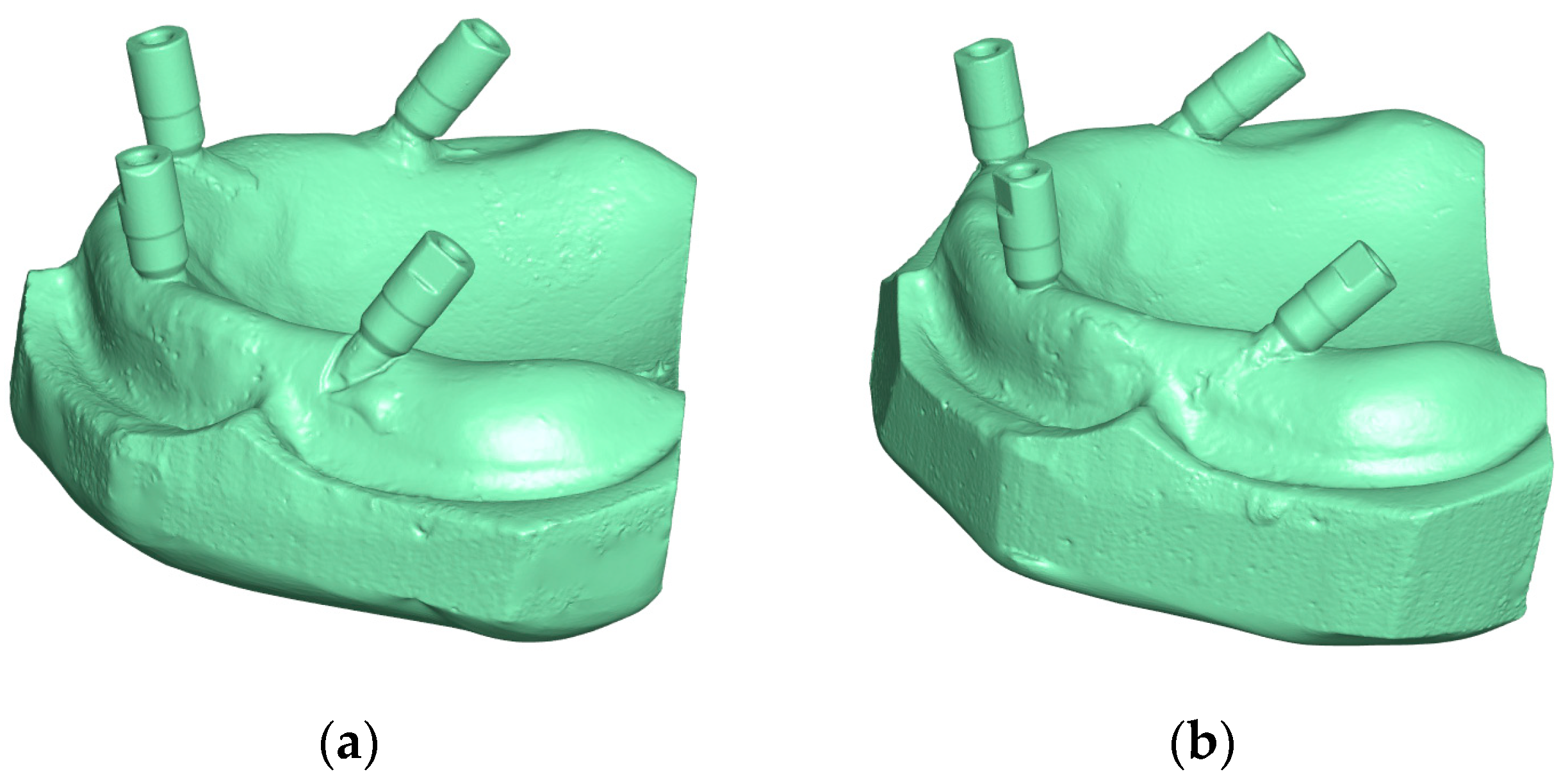 Prosthesis 07 00074 g001