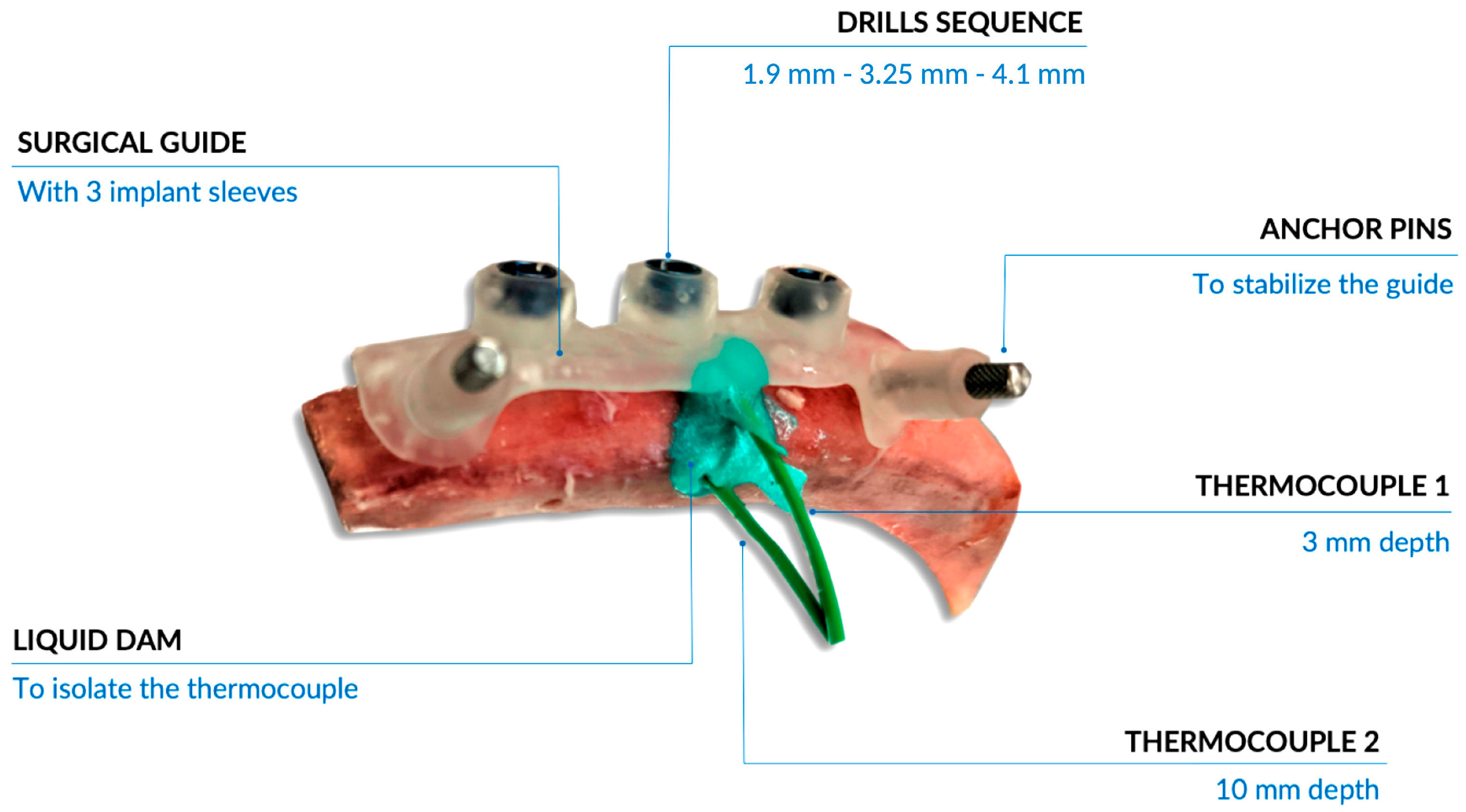Prosthesis 07 00076 g002
