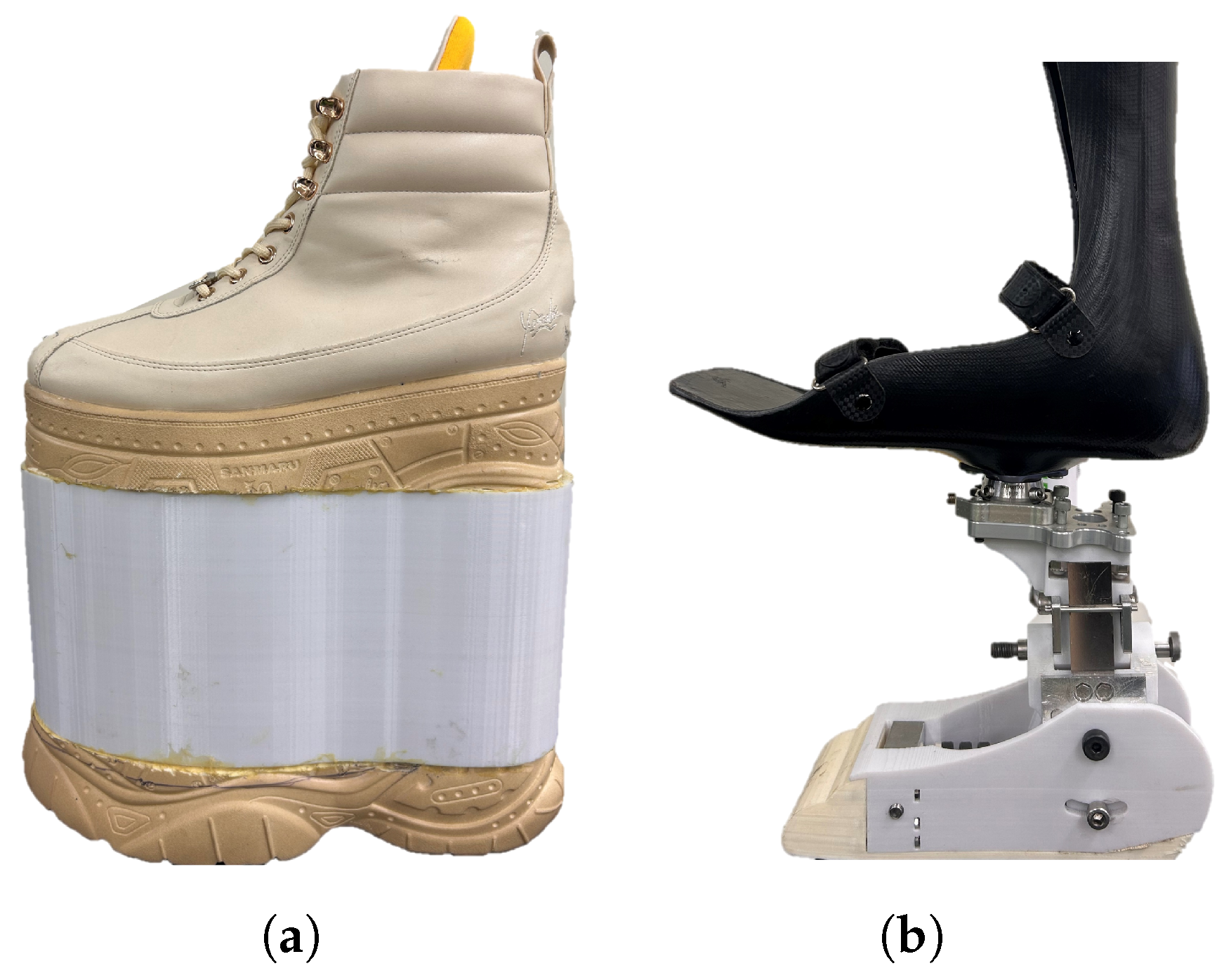 Prosthesis 07 00082 g001 Prosthesis 07 00082 g001