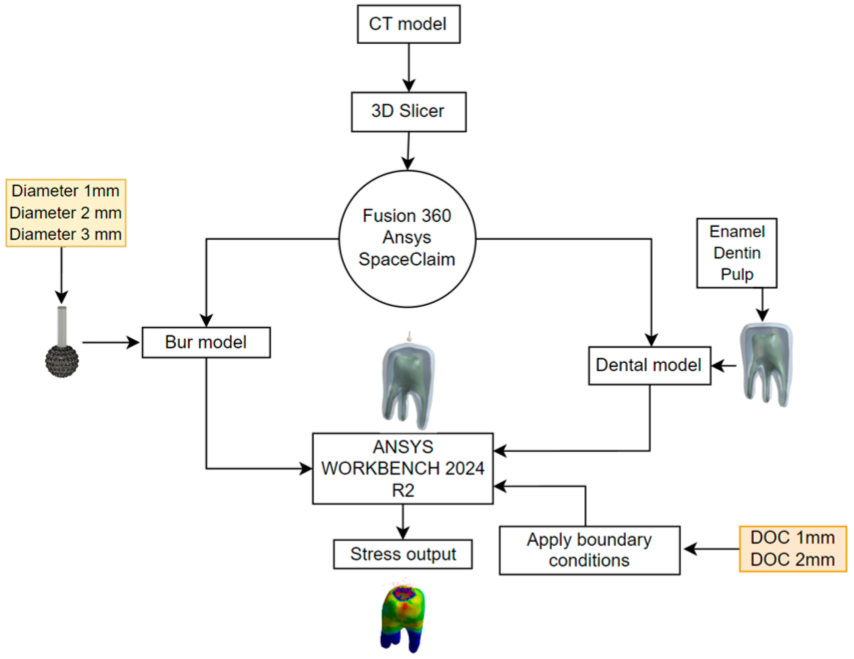 Prosthesis 07 00084 g001