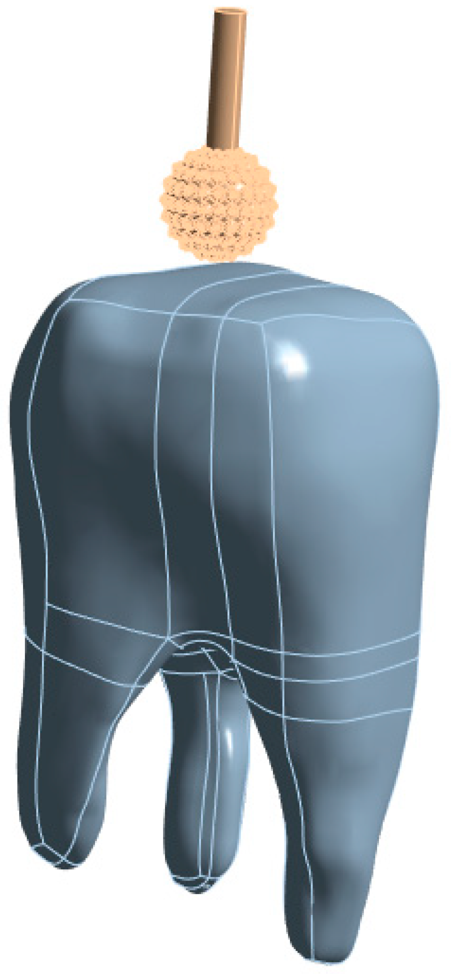 Prosthesis 07 00084 g003