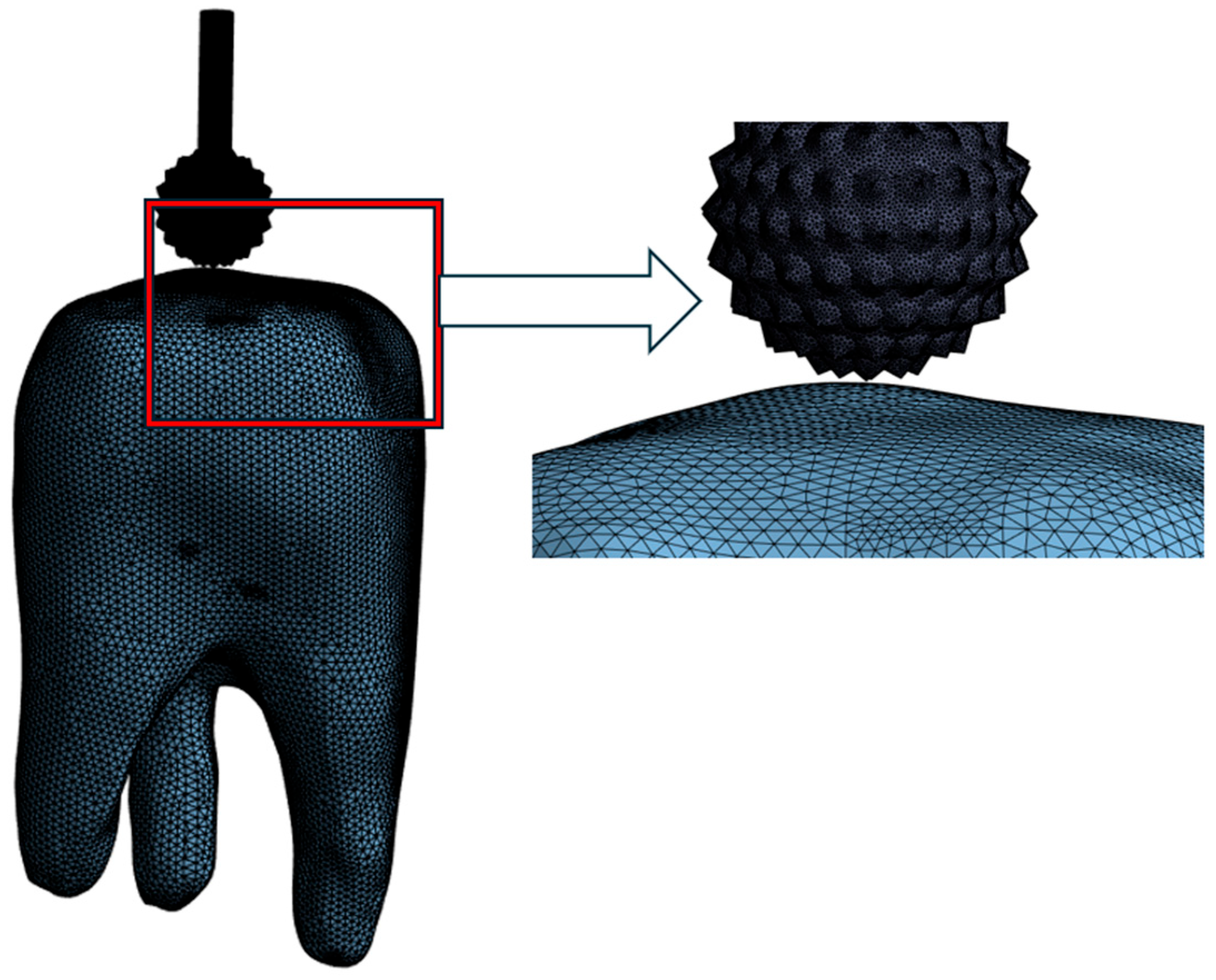 Prosthesis 07 00084 g004