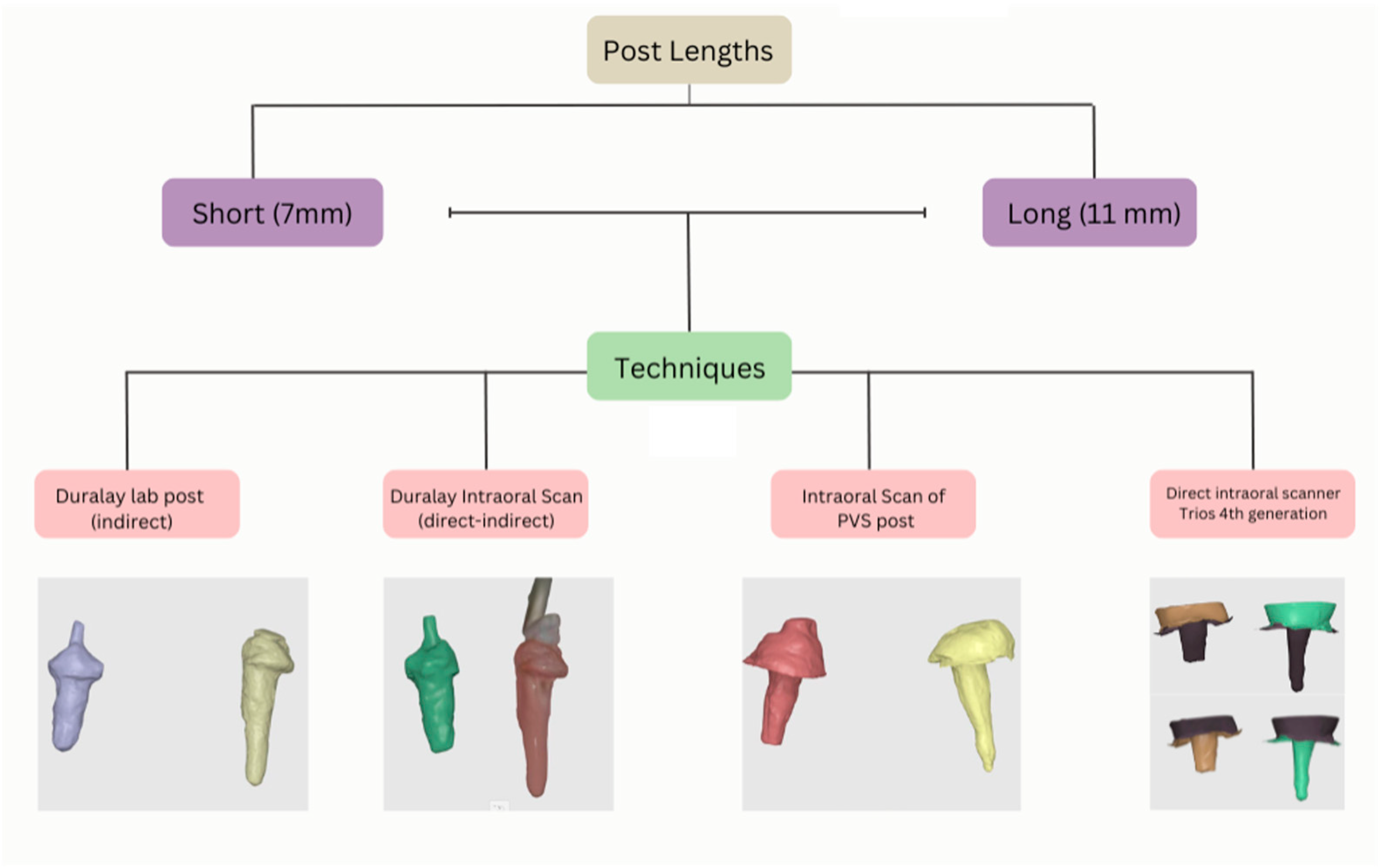 Prosthesis 07 00087 g002