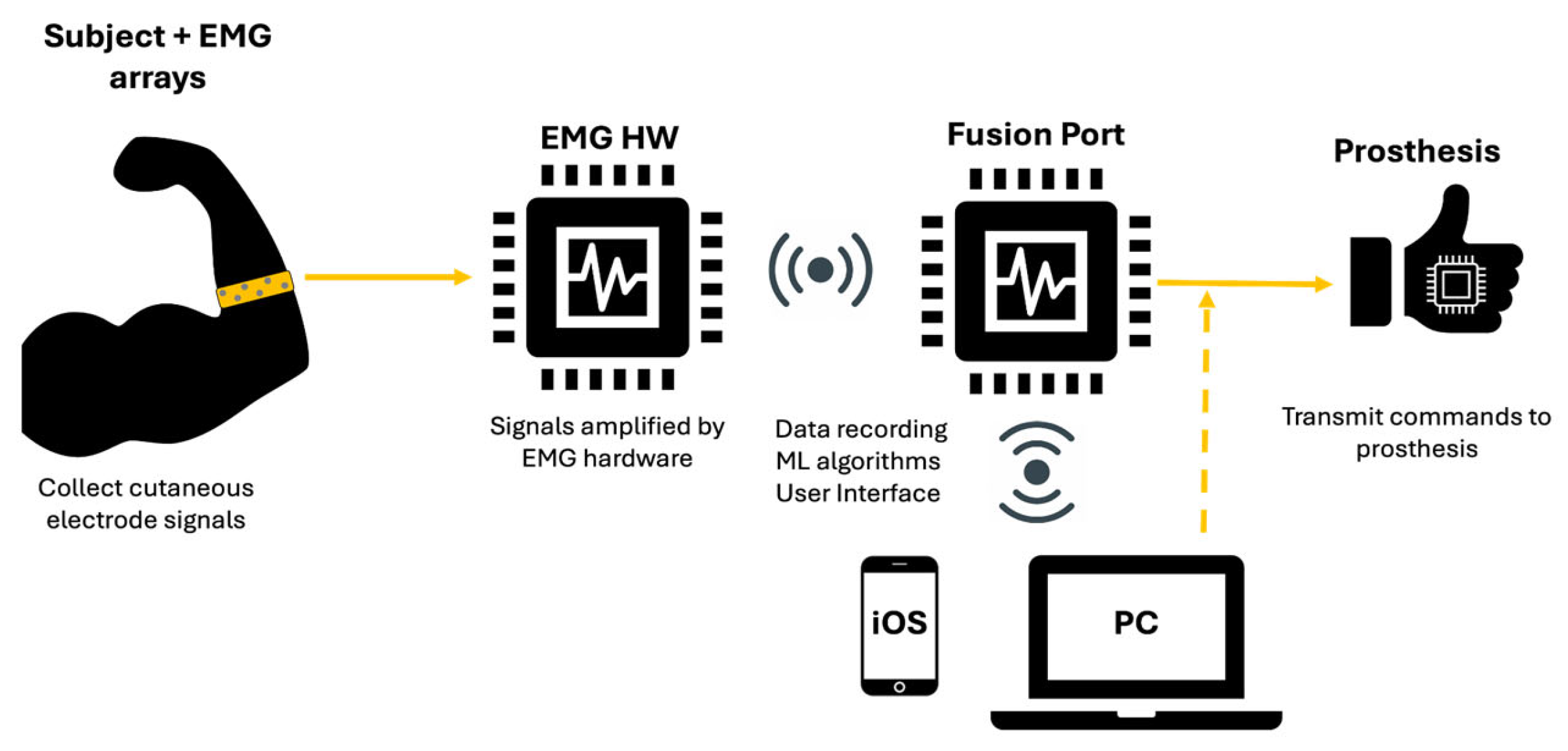 Prosthesis 07 00099 g003
