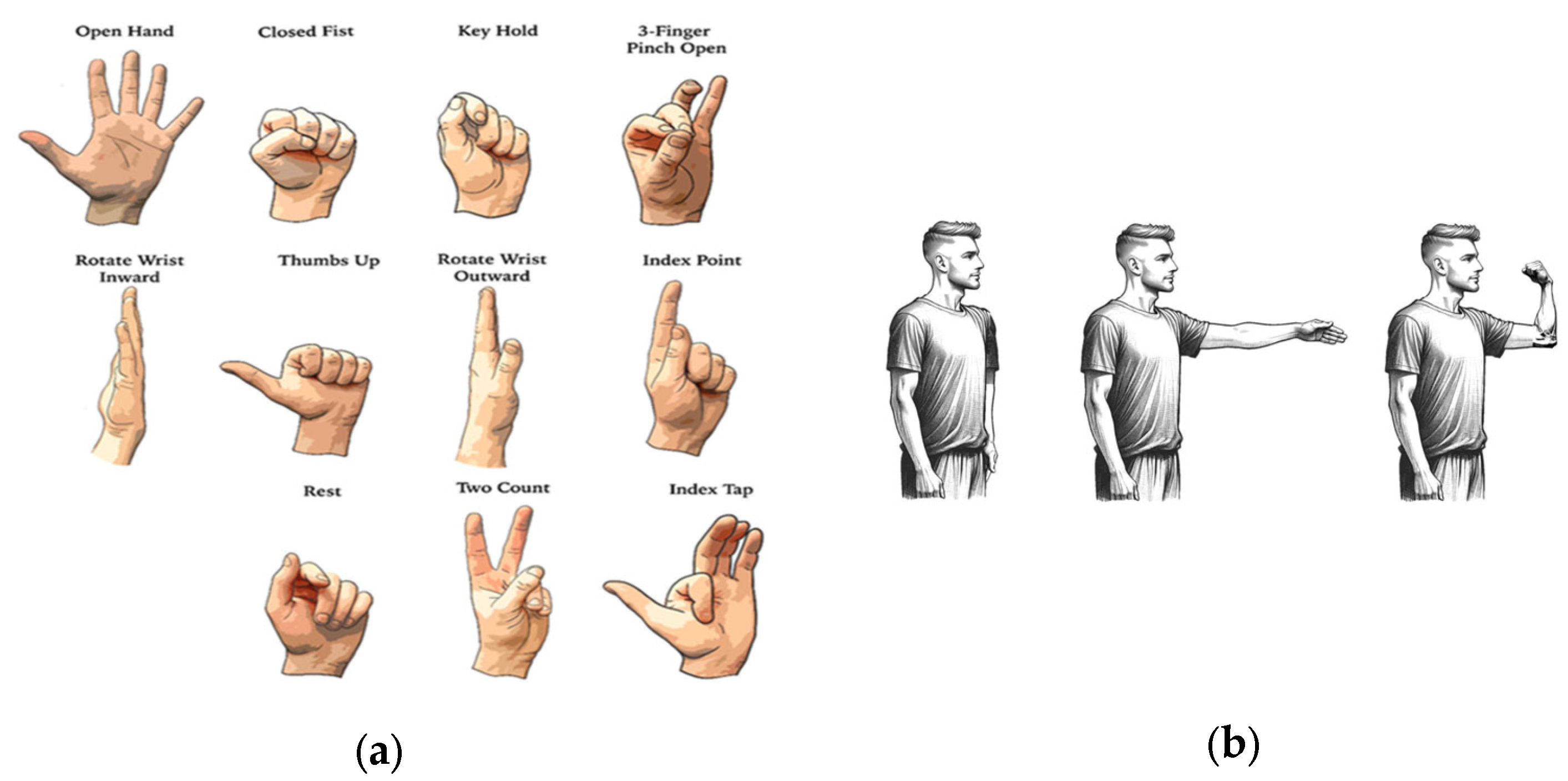 Prosthesis 07 00099 g005