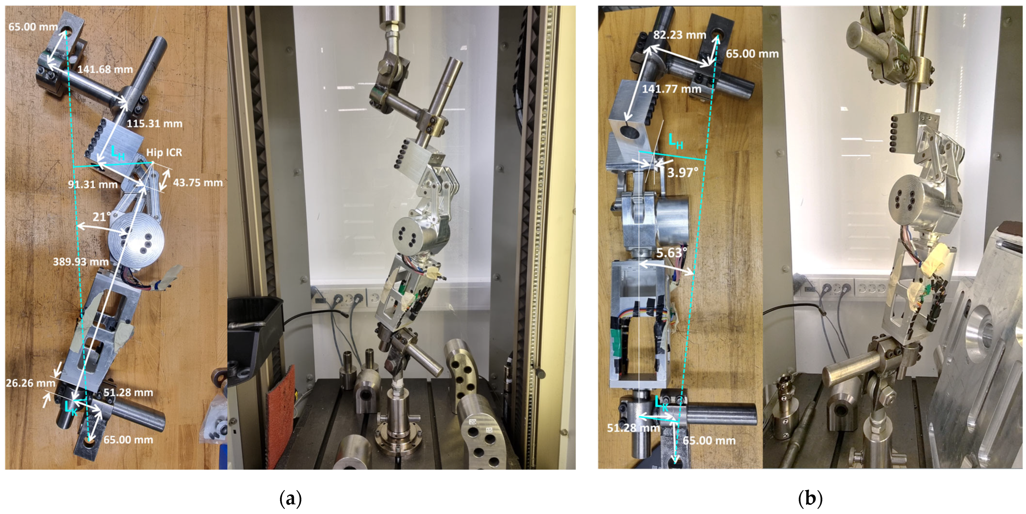 Prosthesis 07 00105 g008 Prosthesis 07 00105 g008