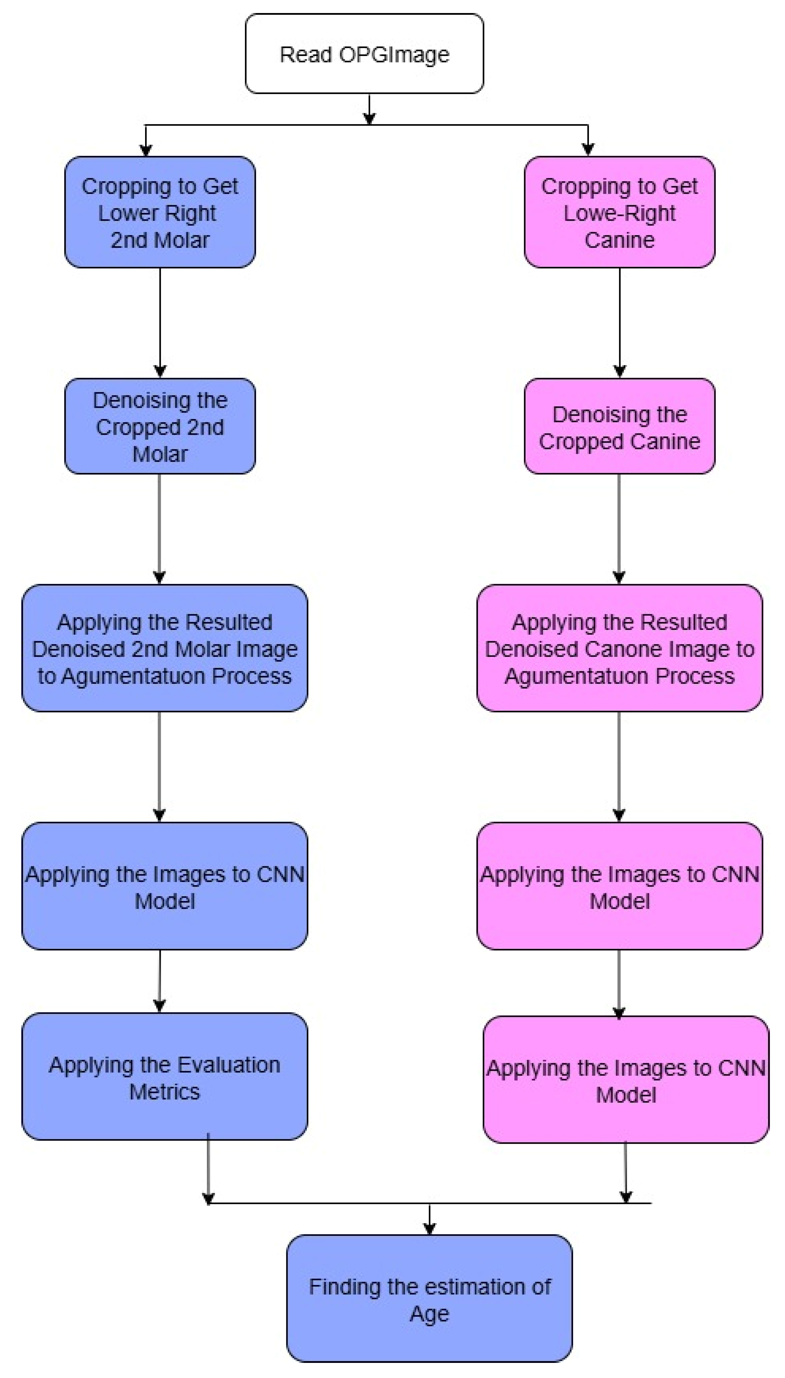 Prosthesis 07 00116 g004