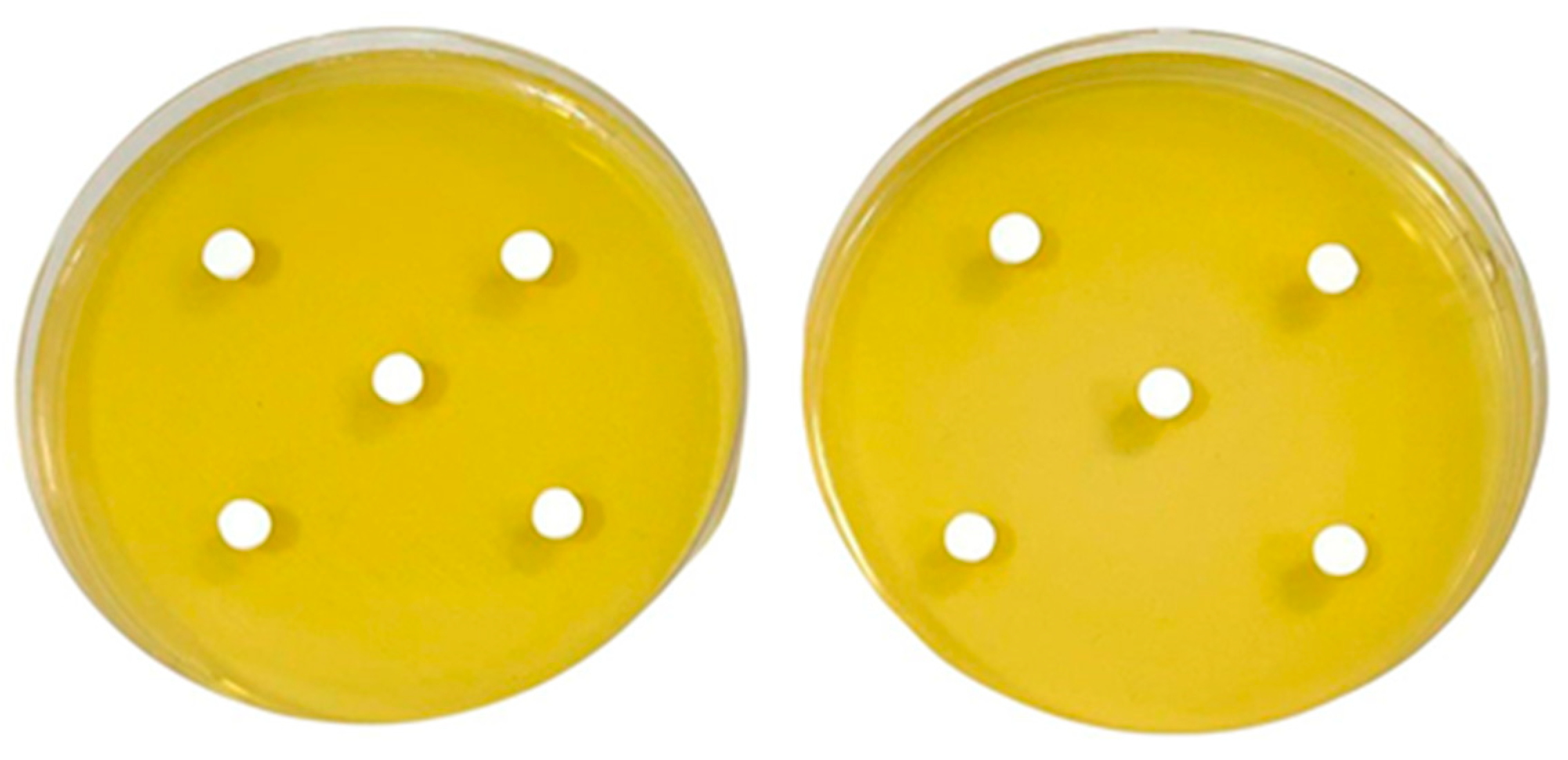 Prosthesis 07 00122 g005