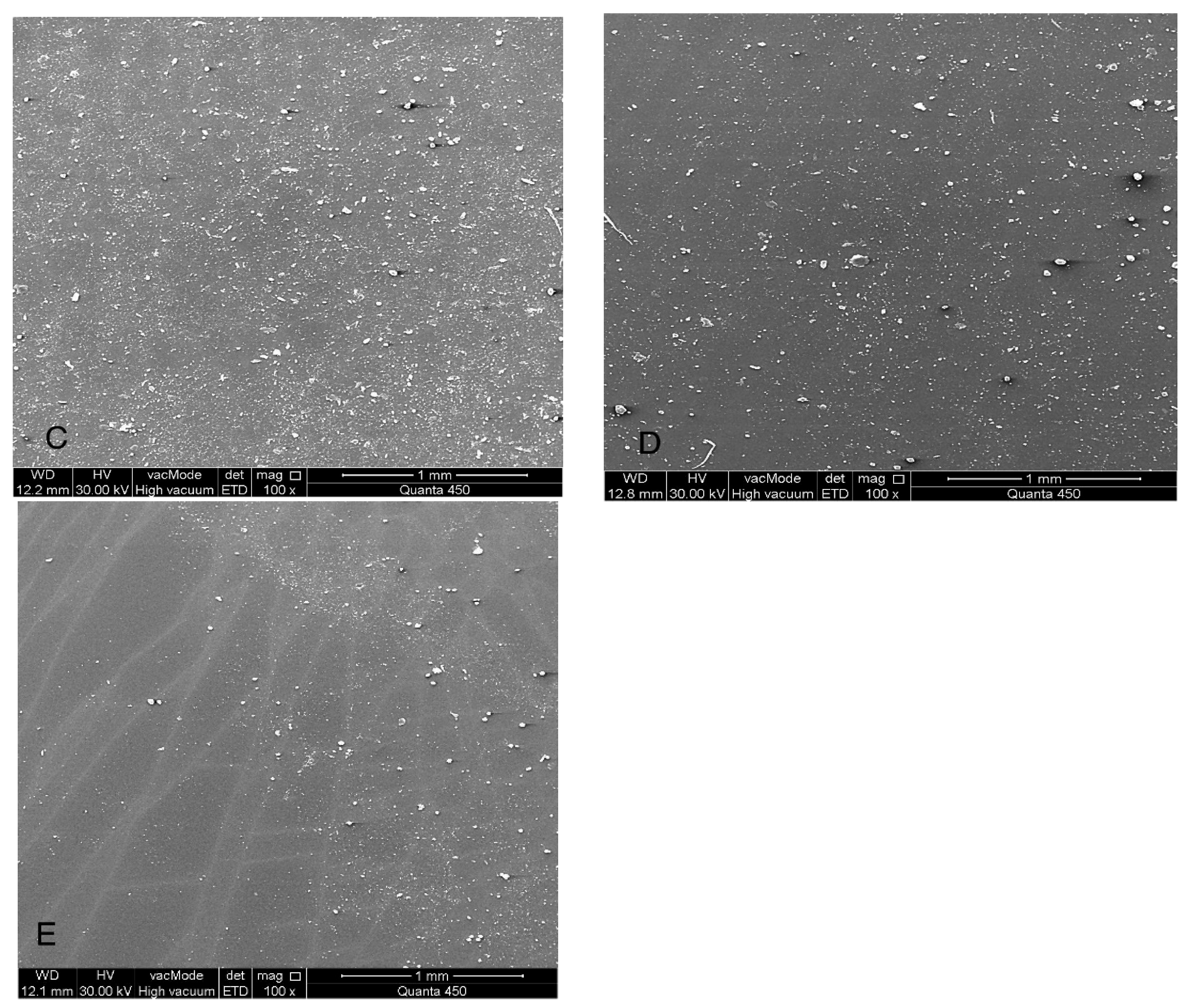 Prosthesis 07 00122 g007b