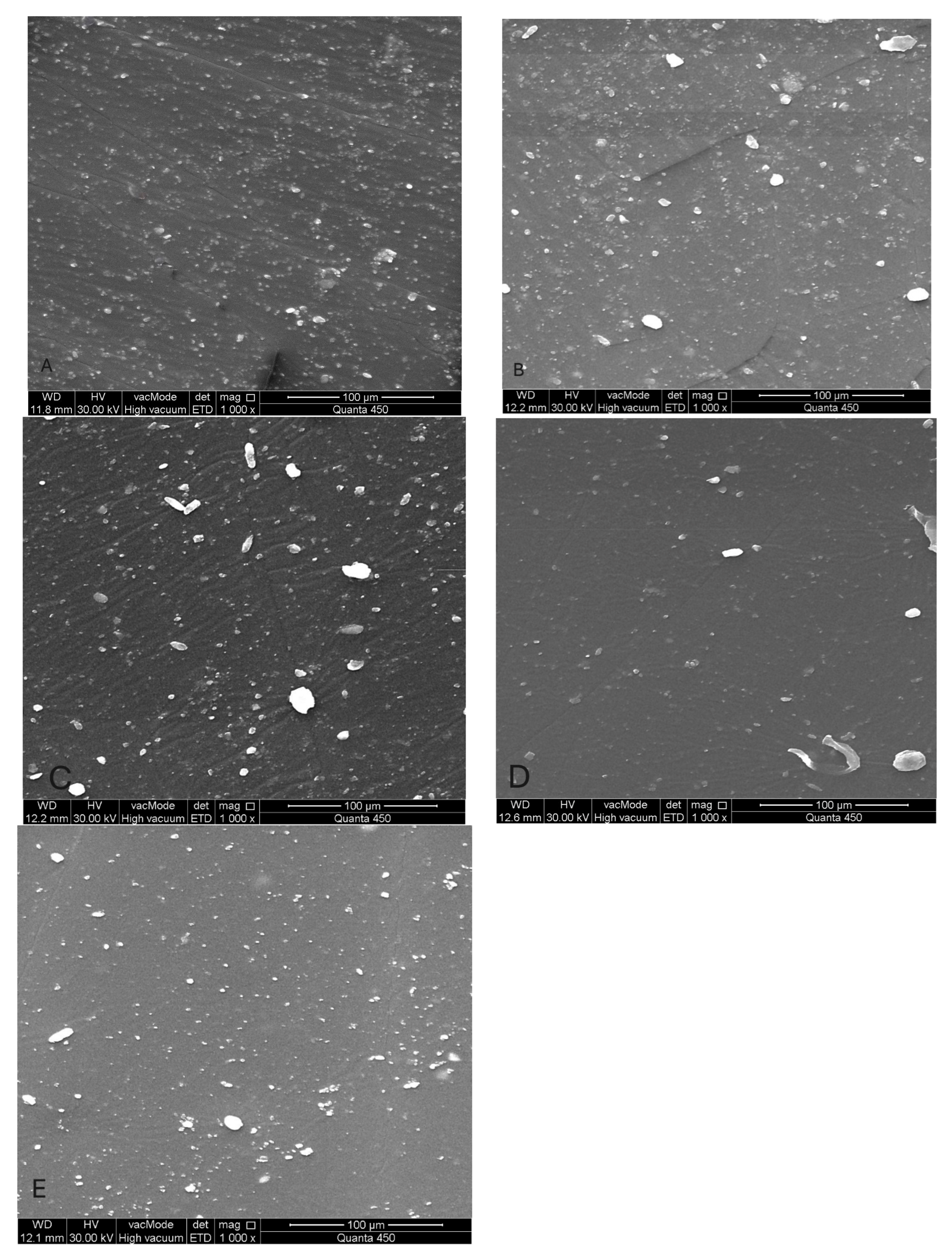 Prosthesis 07 00122 g008