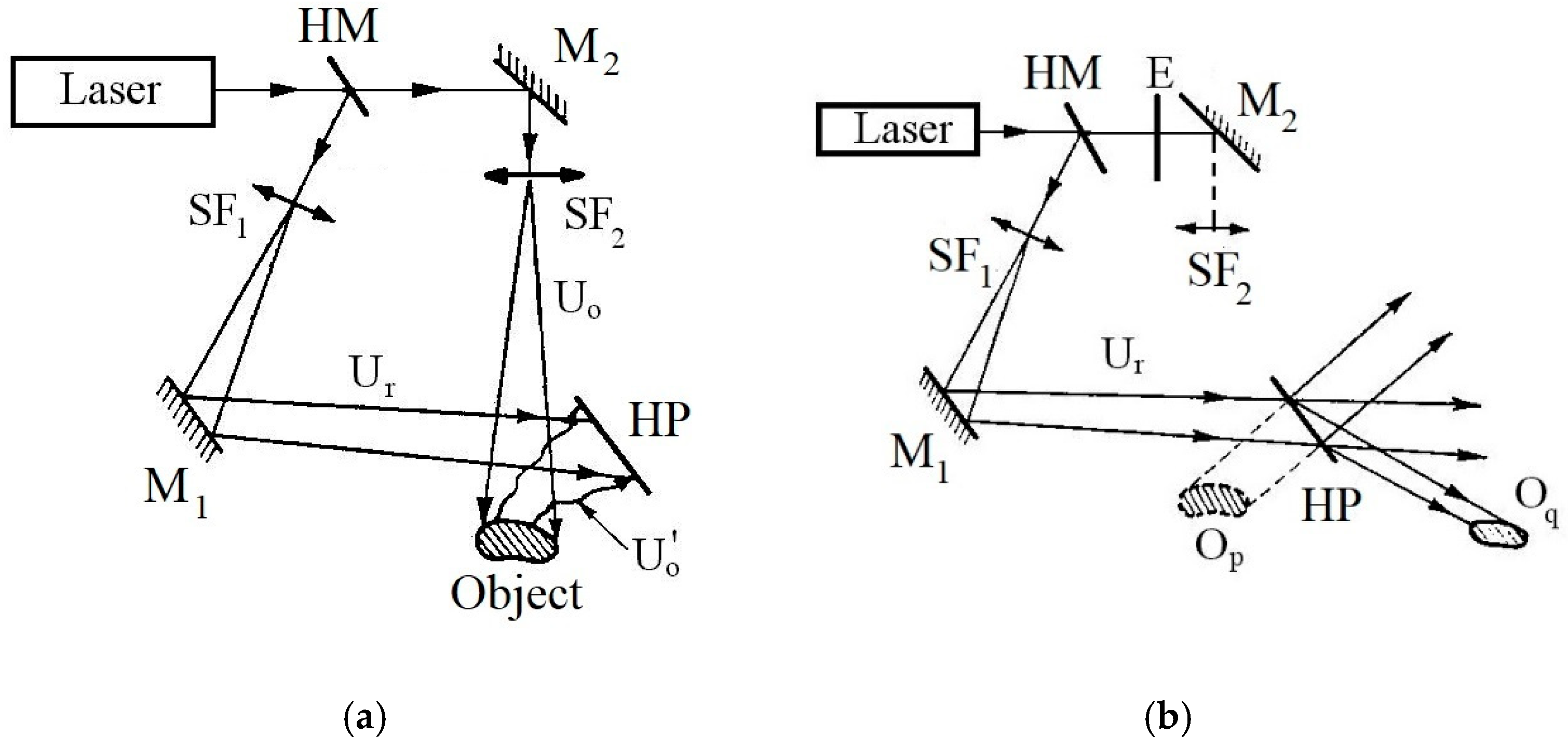 Prosthesis 07 00126 g004