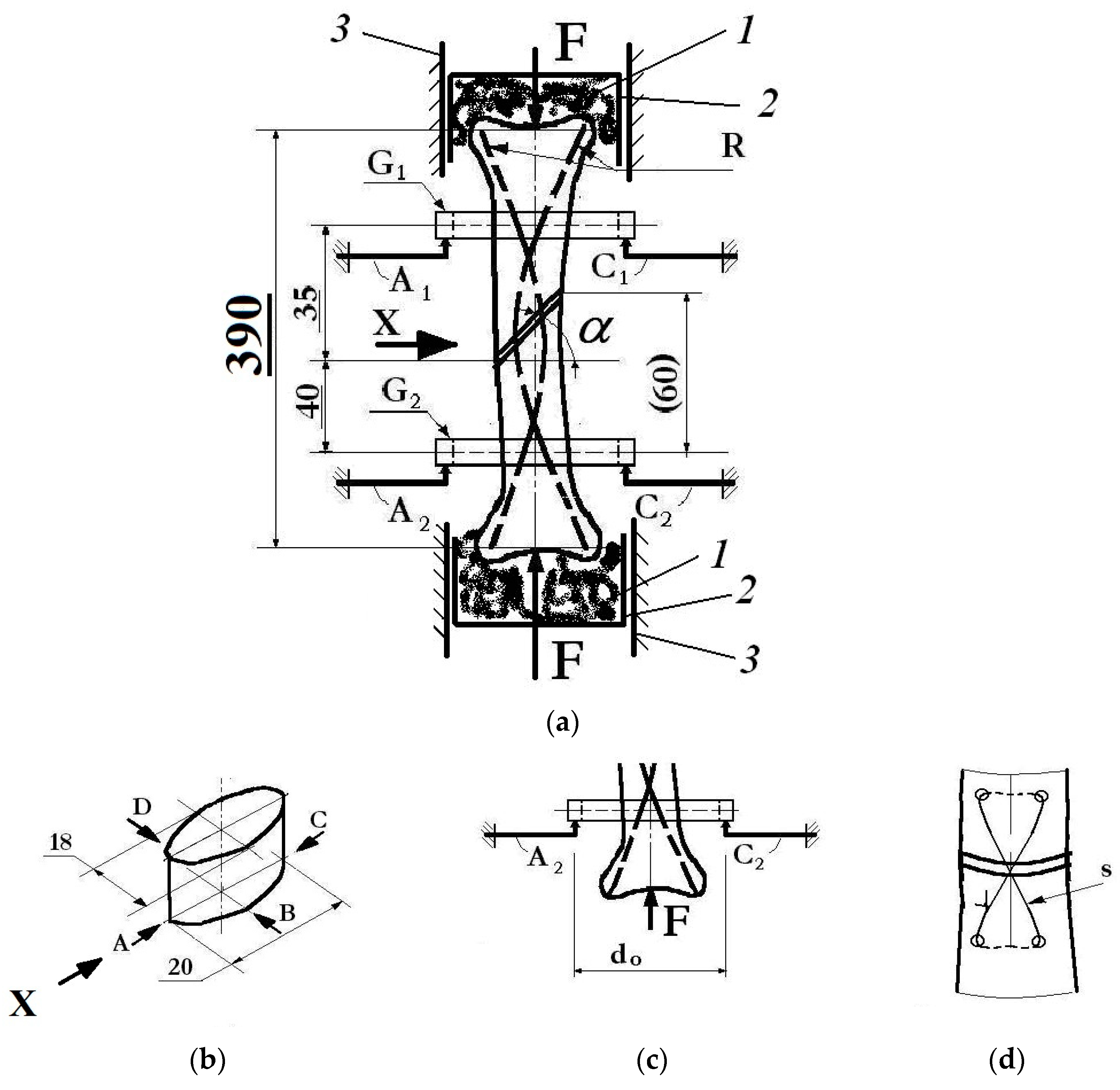 Prosthesis 07 00126 g009