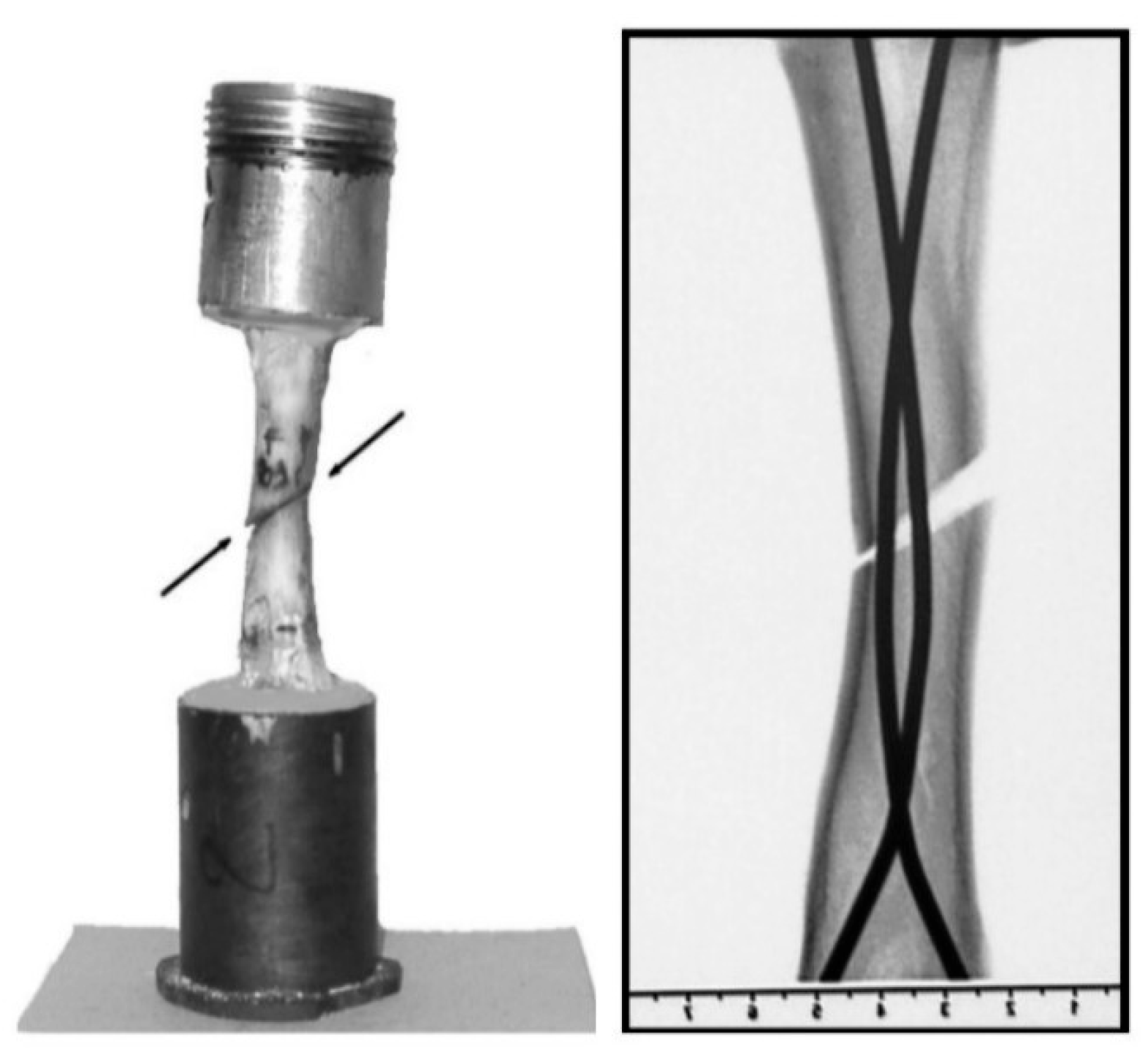 Prosthesis 07 00126 g013