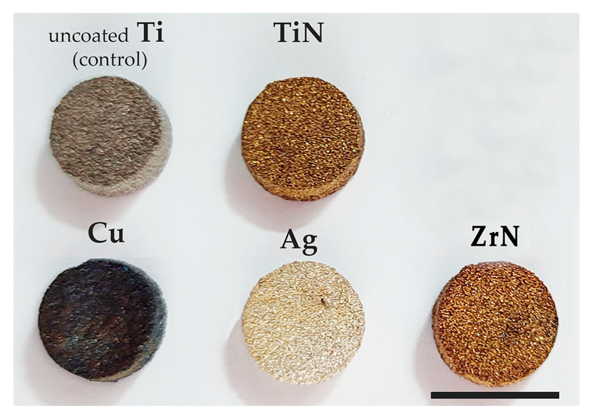 Prosthesis 07 00133 g002 Prosthesis 07 00133 g002