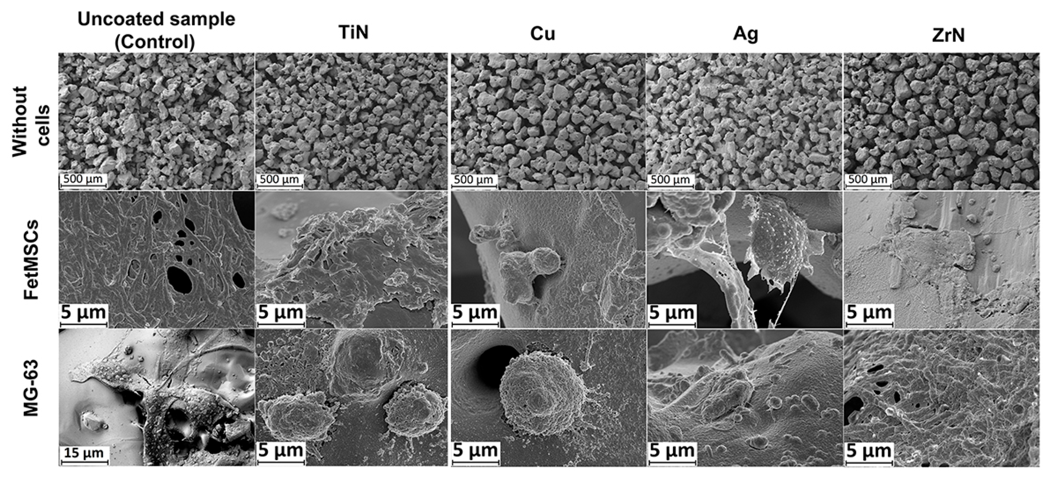 Prosthesis 07 00133 g004 Prosthesis 07 00133 g004