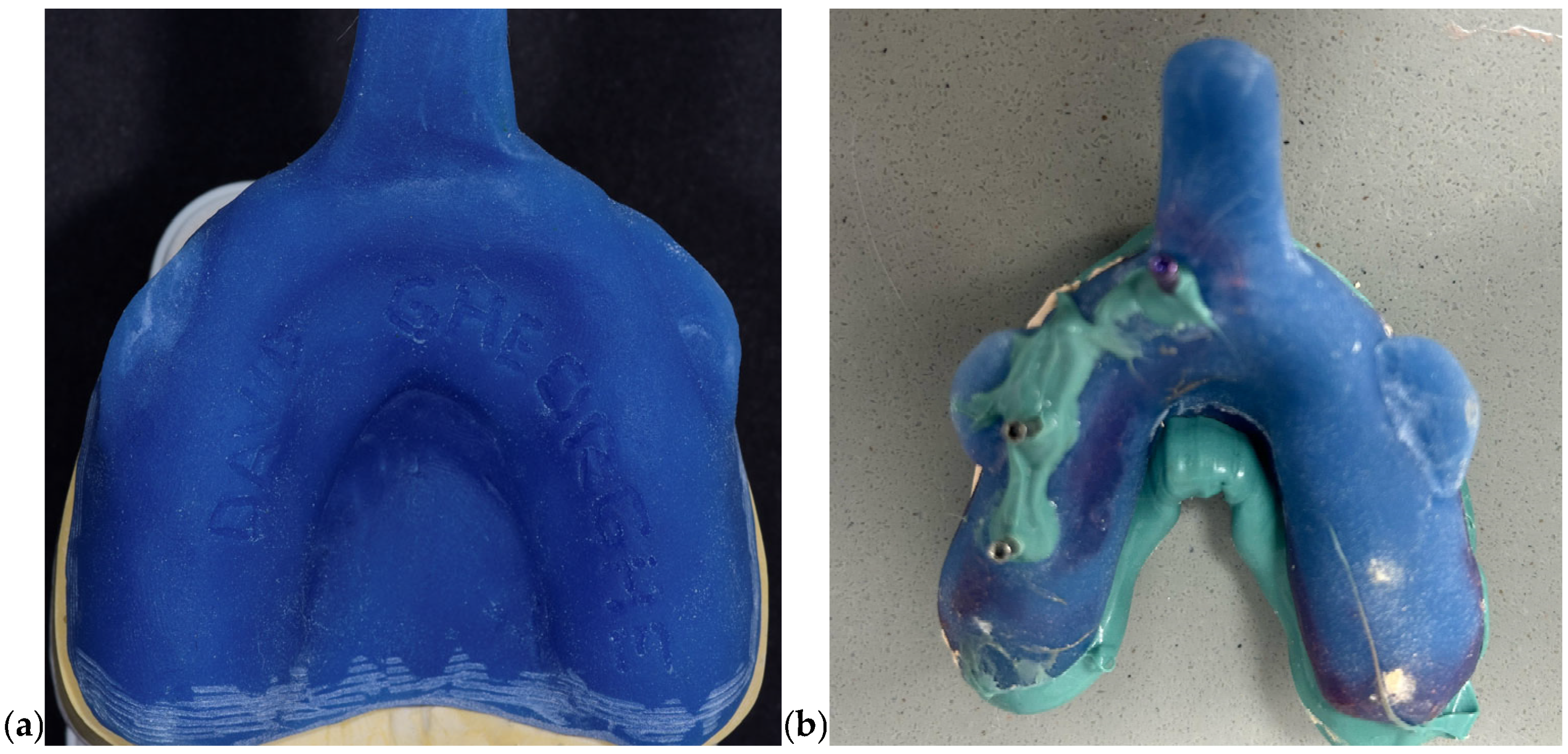 Prosthesis 07 00135 g001a