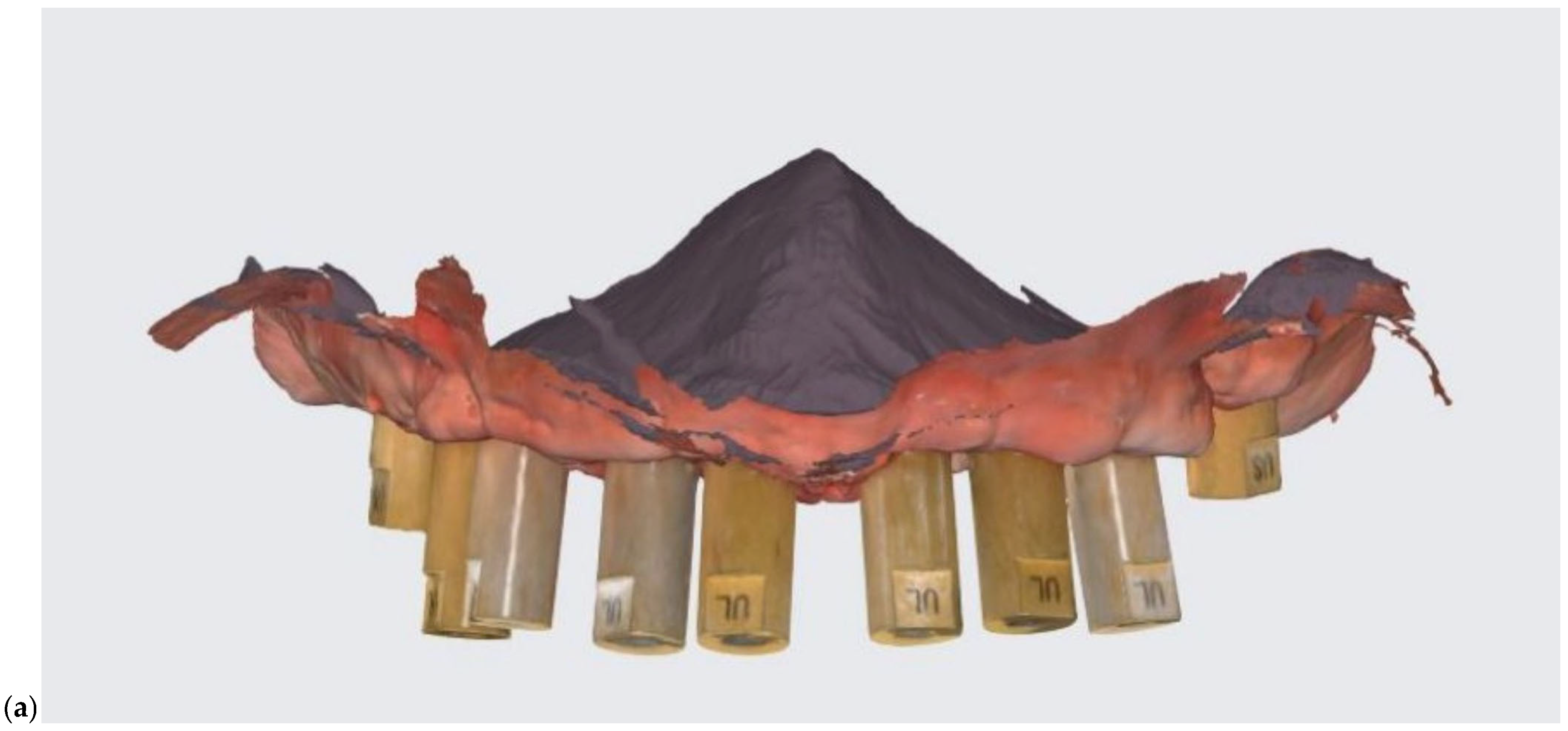 Prosthesis 07 00135 g003a