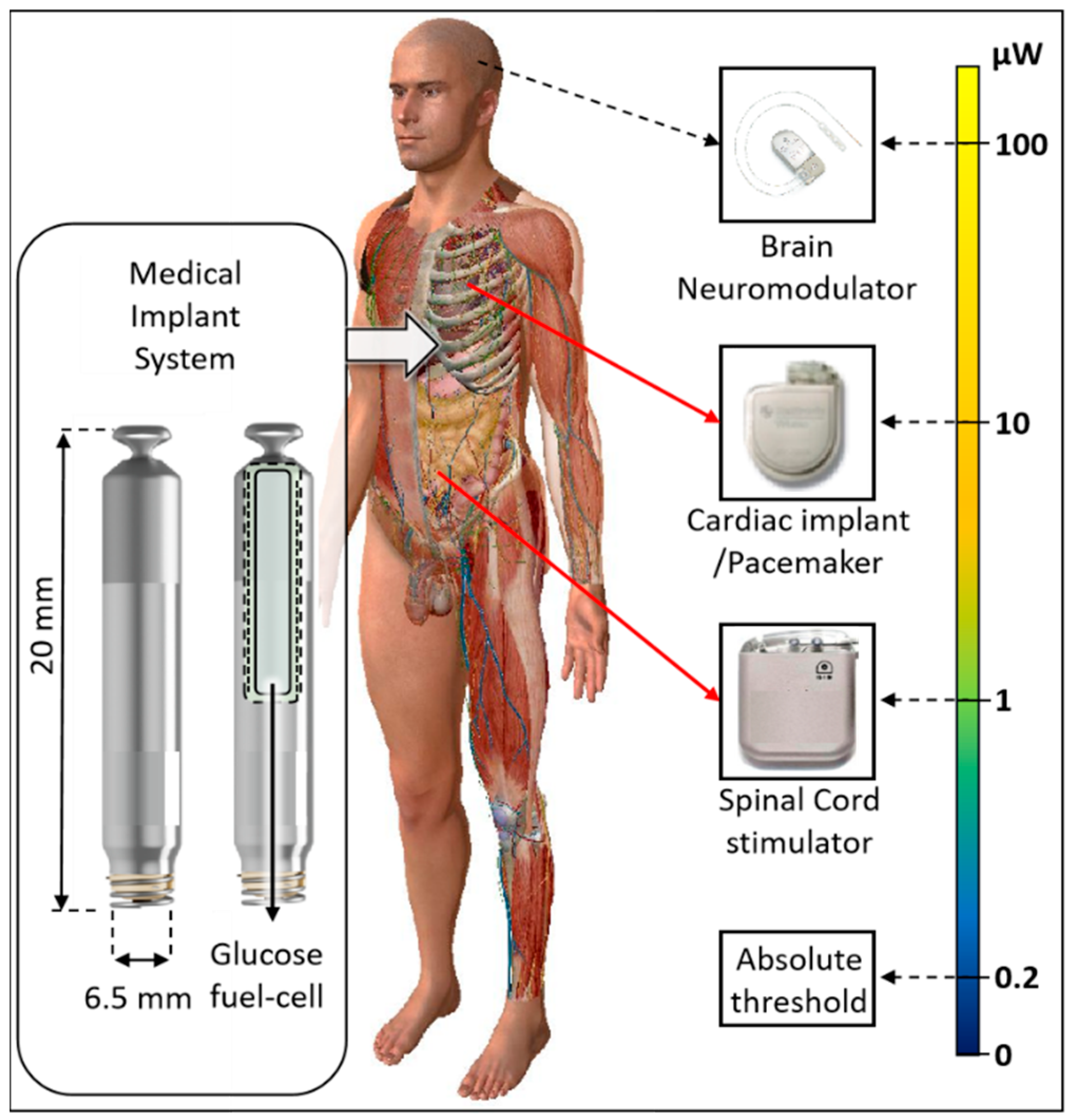 Prosthesis 07 00136 g001