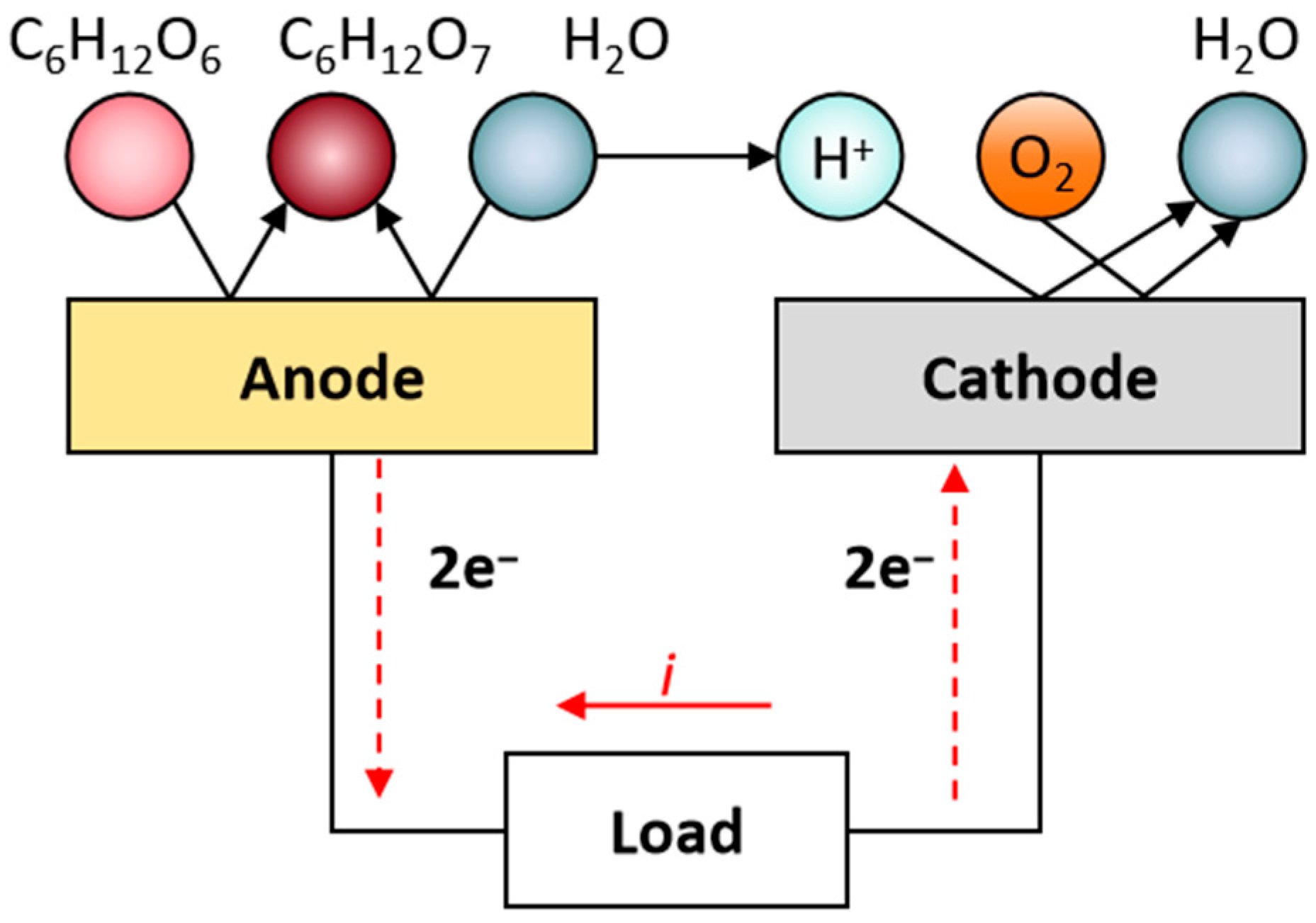 Prosthesis 07 00136 g002